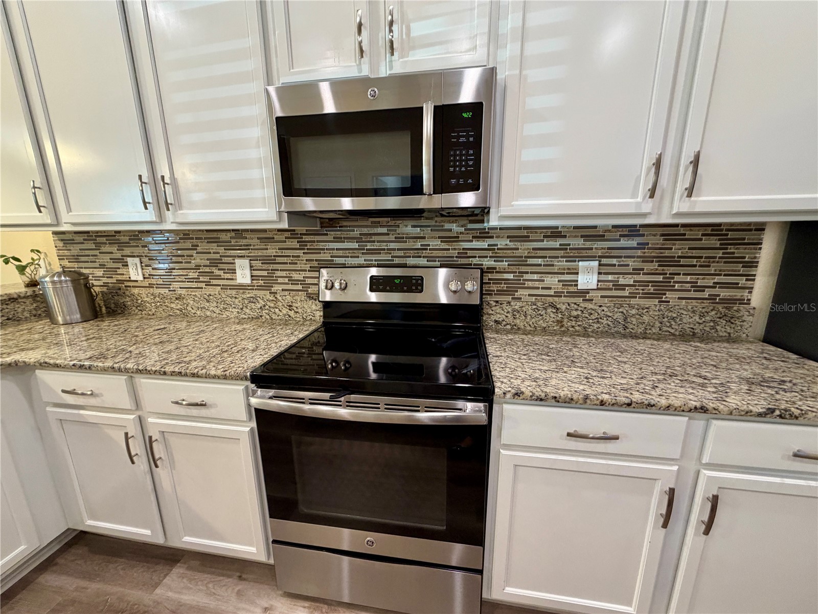 5637 Water Rose Road Winter Garden FL 34787 O6373923 image6