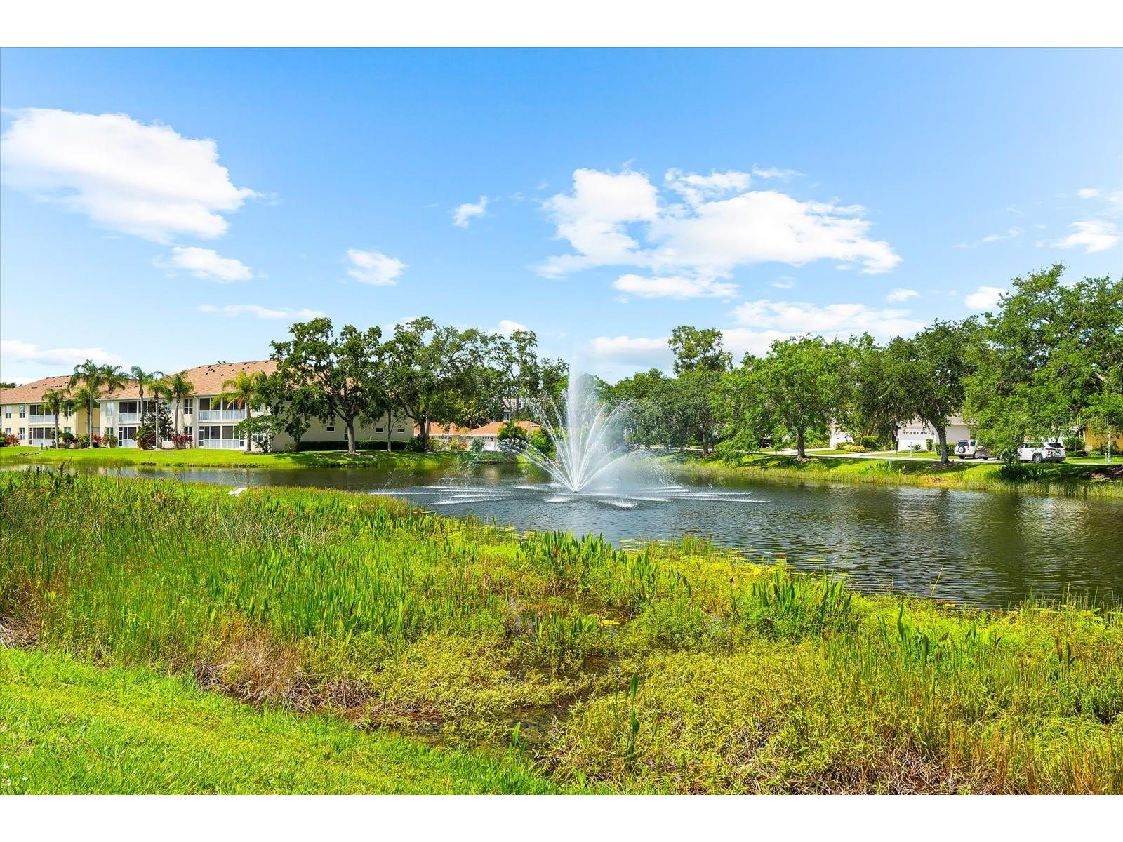 5637 Whitehead Street Bradenton FL 34203 A4686270 image52