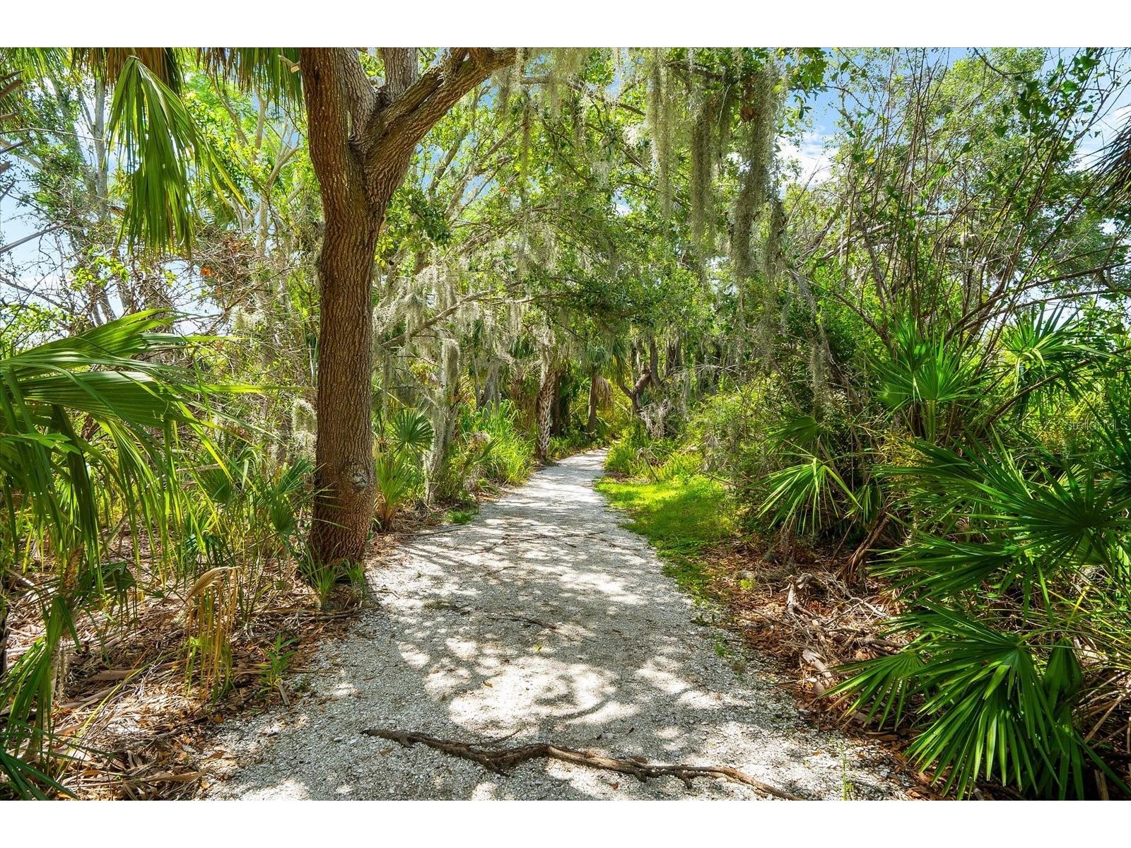 5637 Whitehead Street Bradenton FL 34203 A4686270 image53