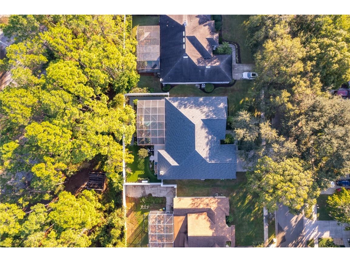 5638 Craindale Drive Orlando FL 32819 O6366489 image37