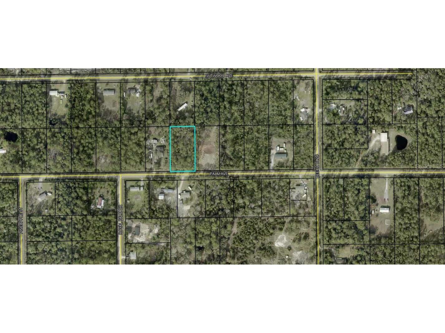 5638 Palm Avenue Bunnell FL 32110 FC314601 image1