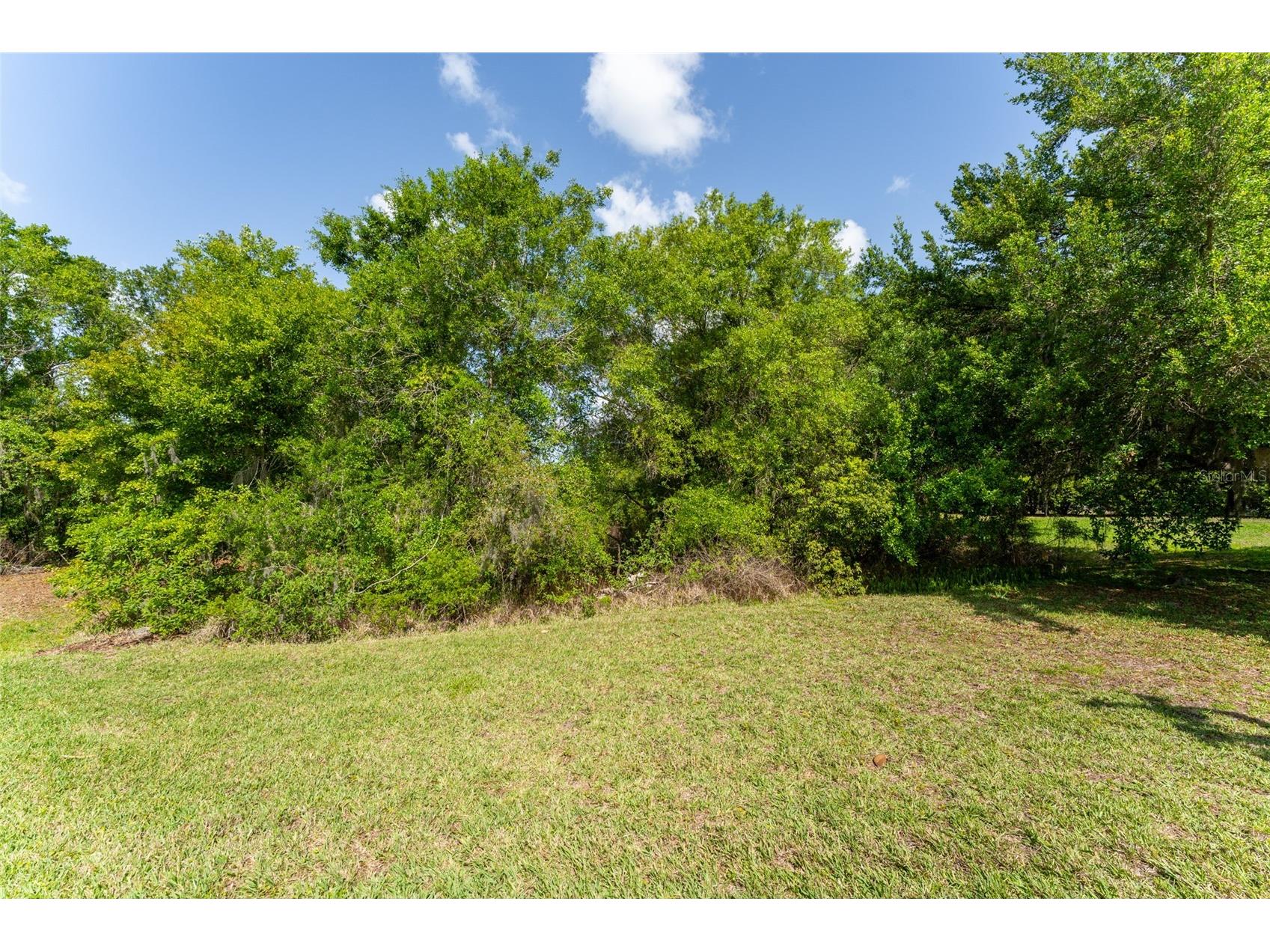 5638 Rockfield Loop Valrico FL 33596 TB8490076 image5