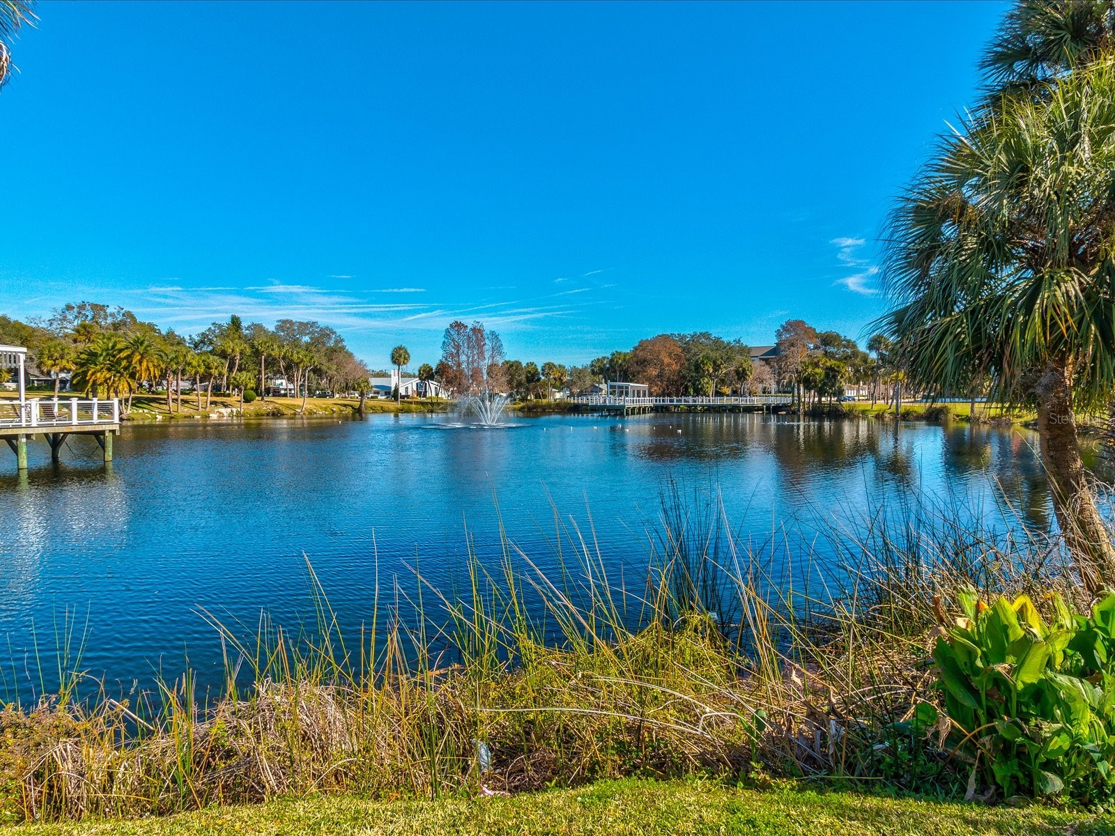 5638 Virginia Avenue New Port Richey FL 34652 TB8511365 image36