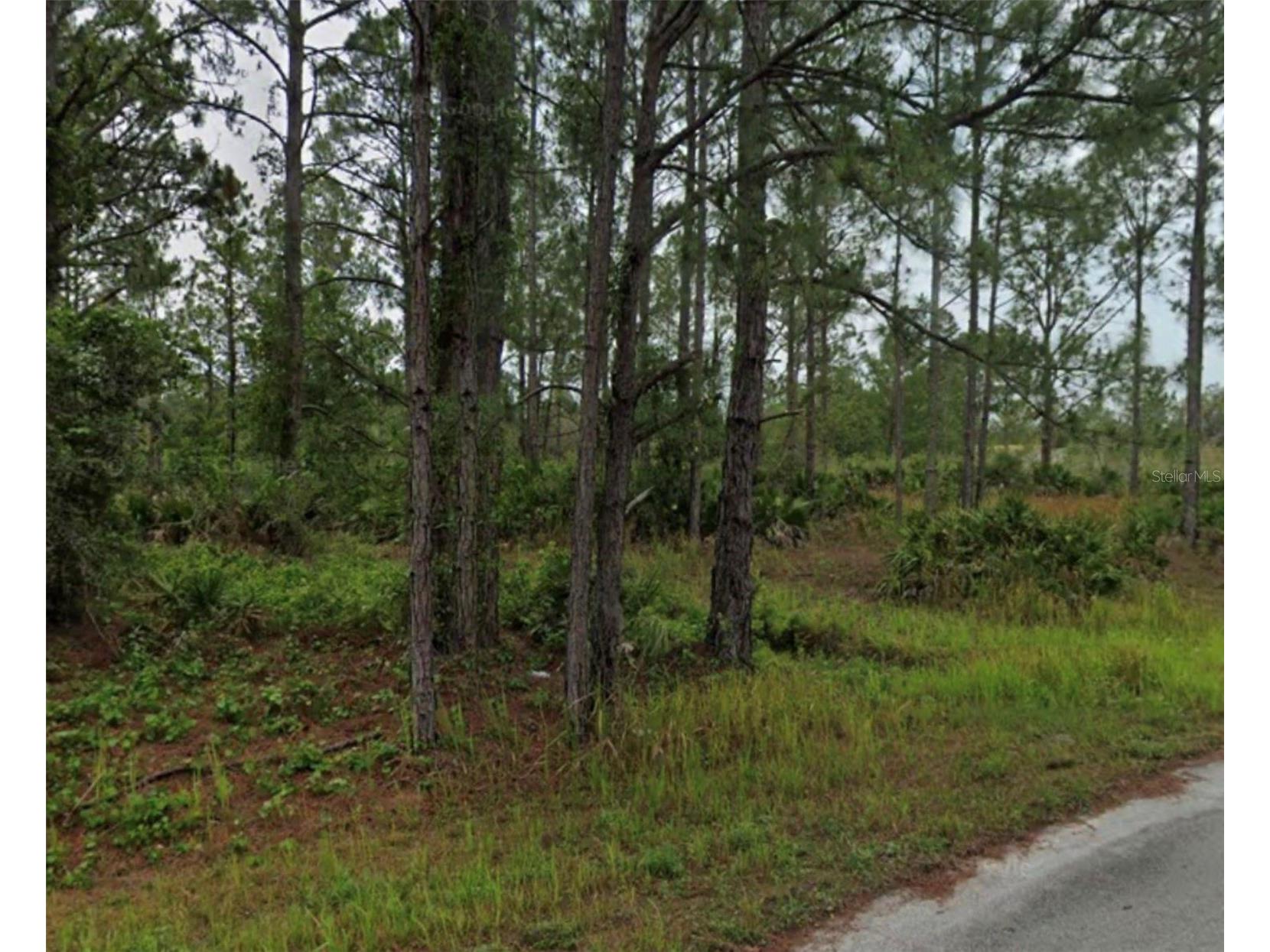 5639 San Juan Drive Sebring FL 33872 S5145581 image1