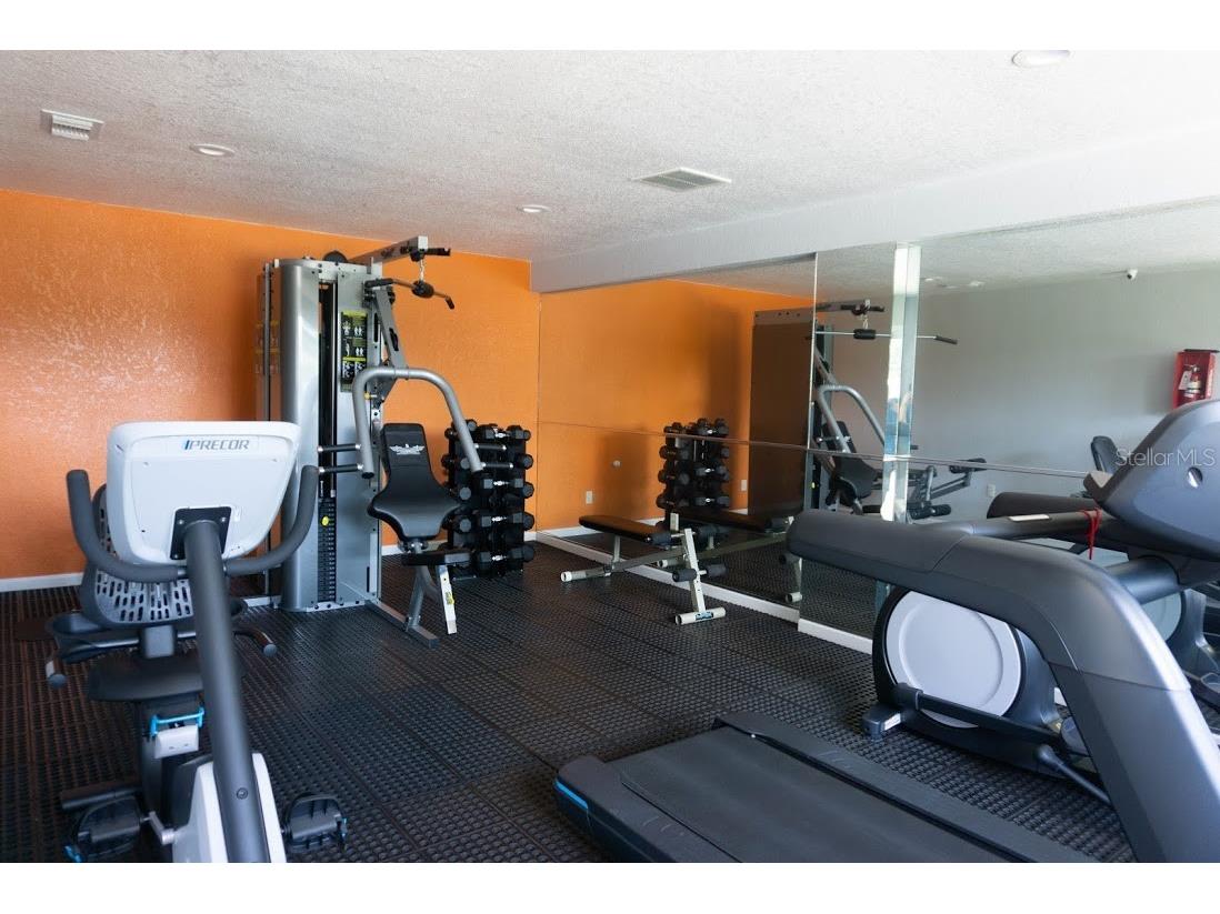 564 Golden Raintree Place #564 Brandon FL 33510 U8250466 image4