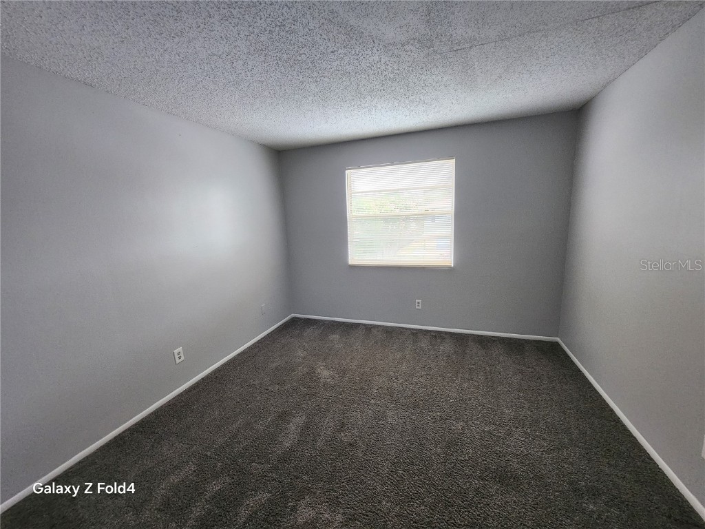 564 Golden Raintree Place #564 Brandon FL 33510 U8250466 image7