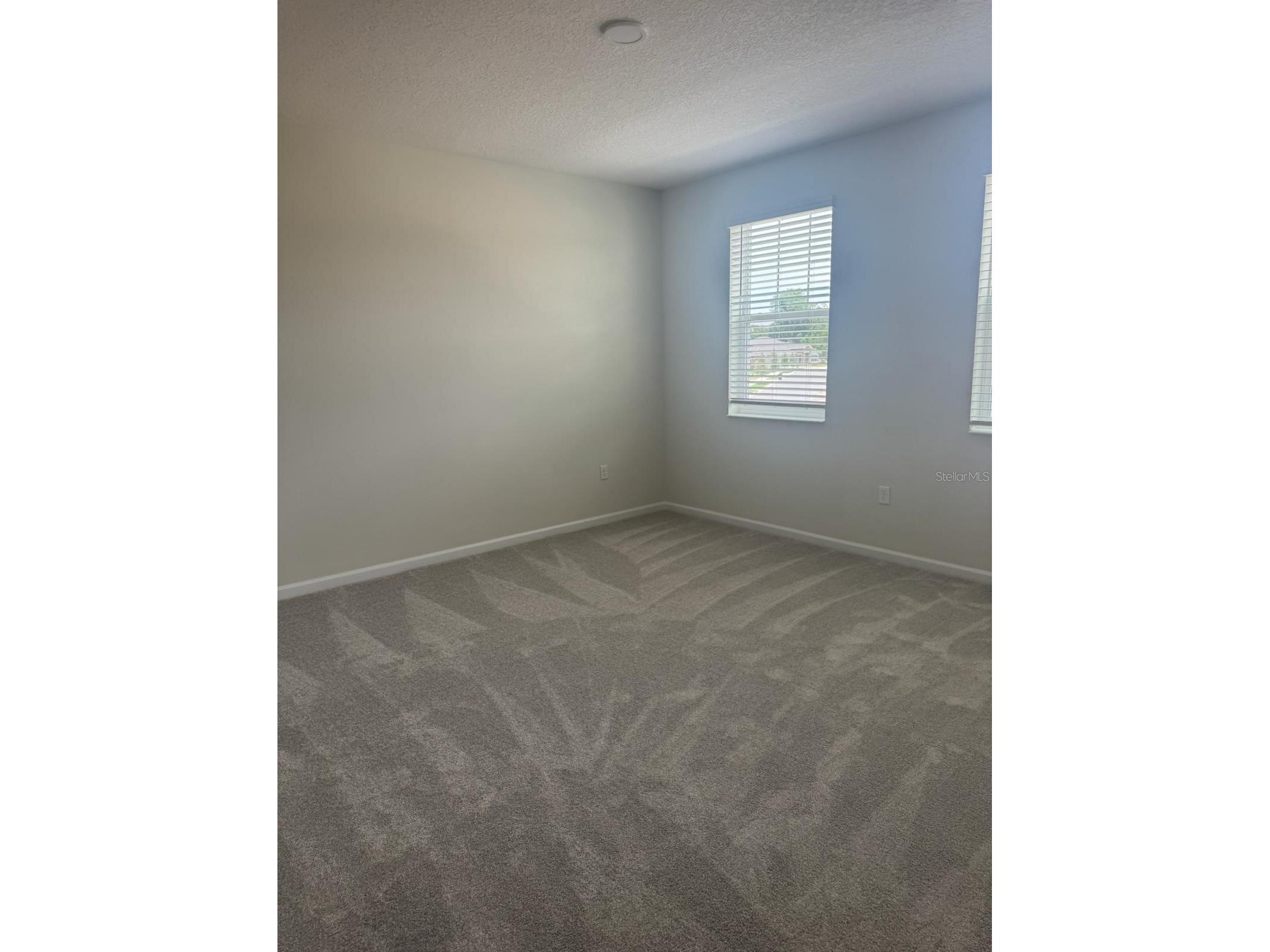 564 Pothos Street Apopka FL 32703 O6417682 image11
