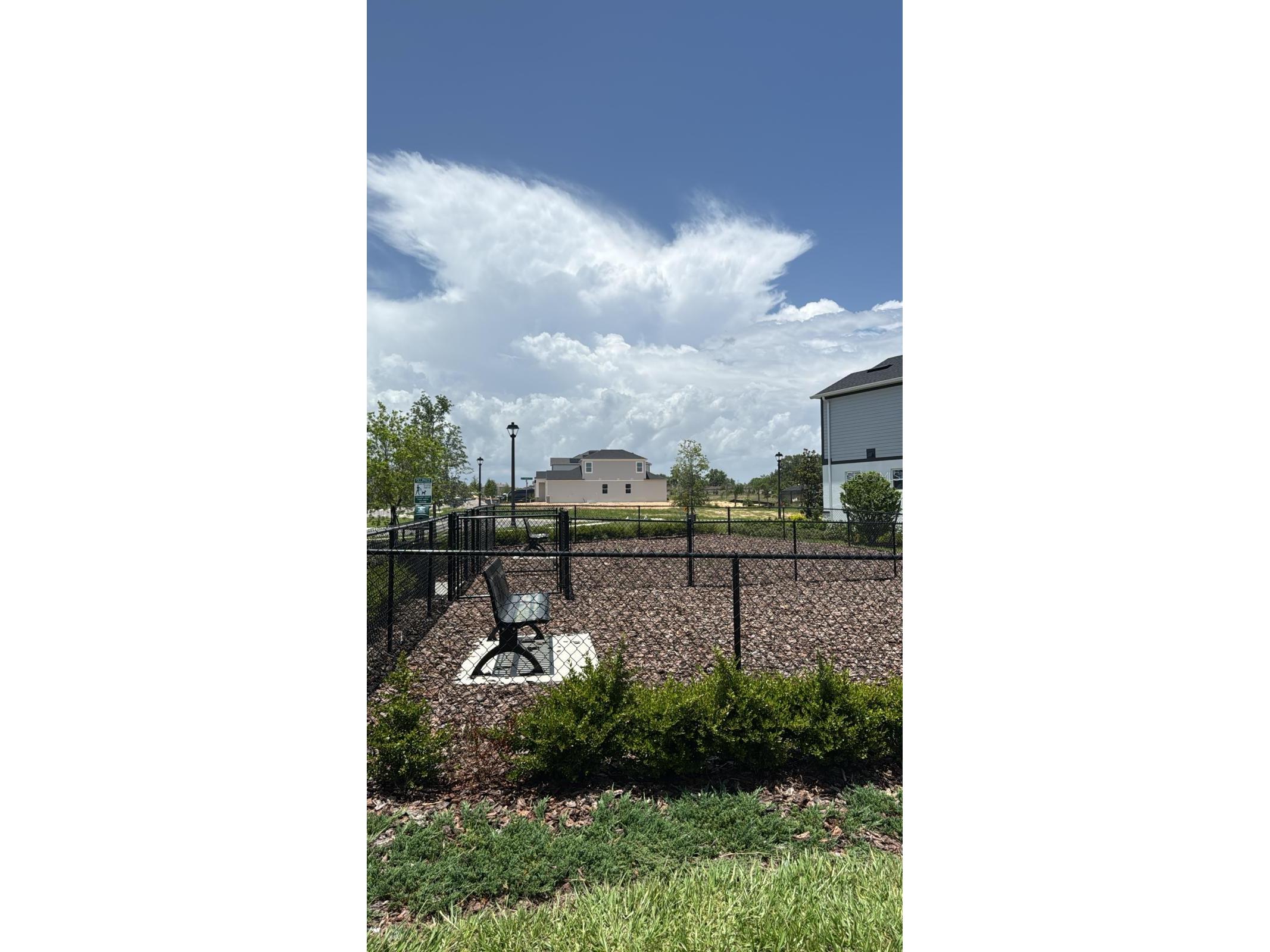 564 Pothos Street Apopka FL 32703 O6417682 image14