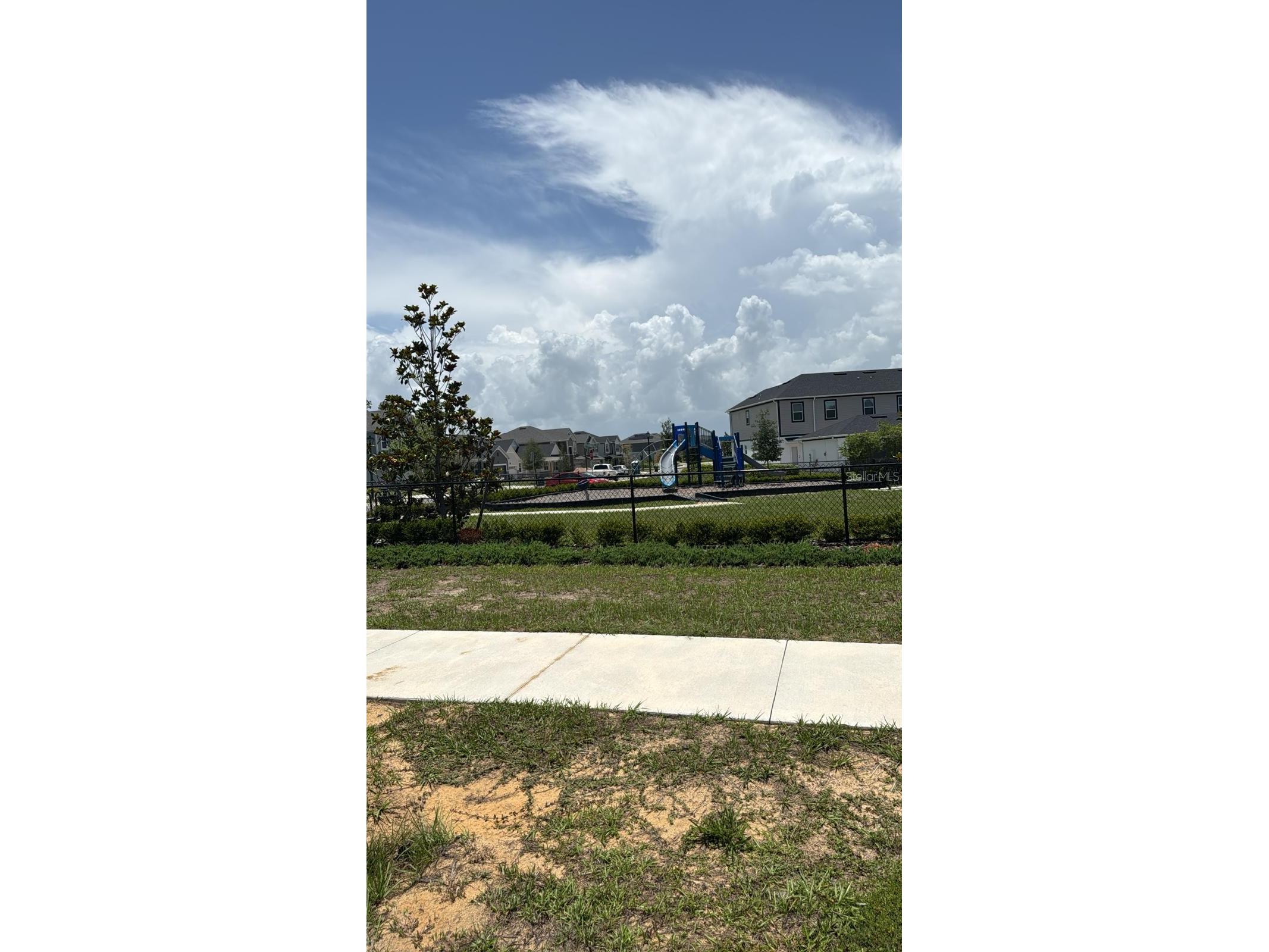 564 Pothos Street Apopka FL 32703 O6417682 image15