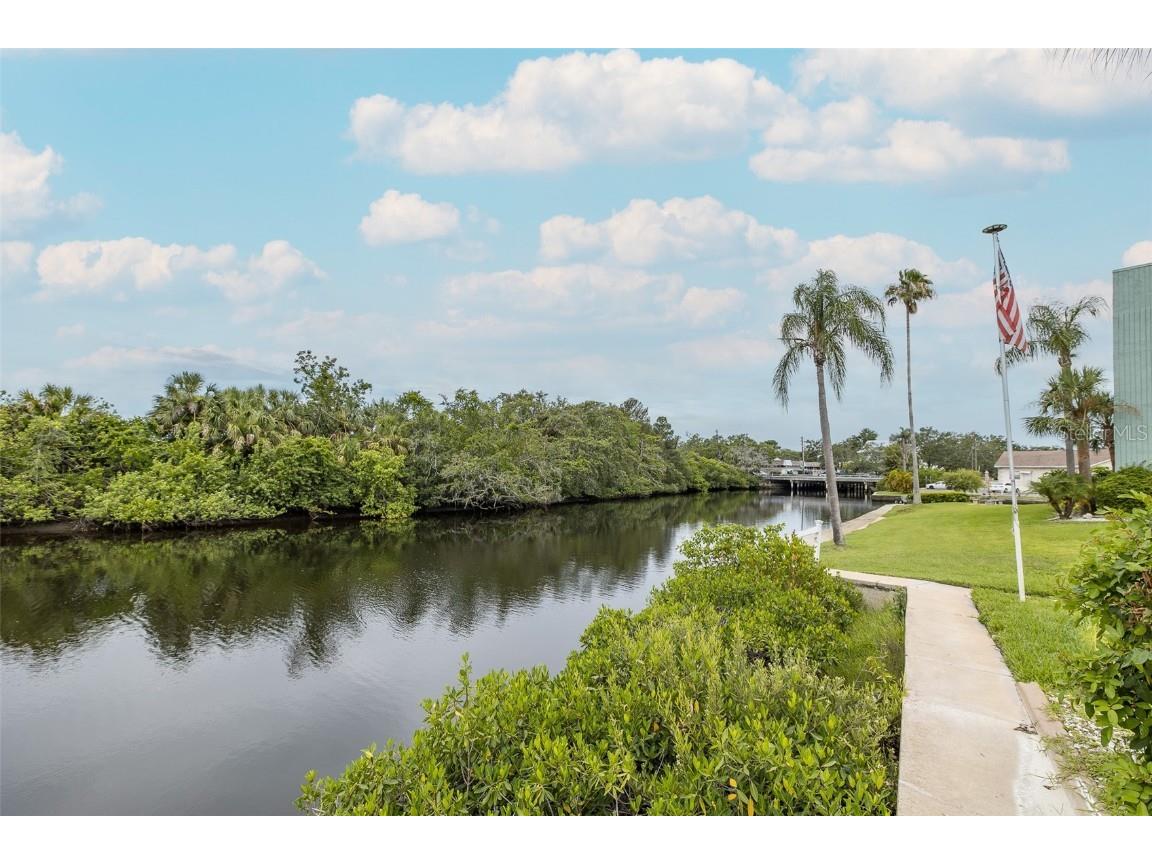 5640 Ferguson Court #2203 New Port Richey FL 34652 W7876824 image3