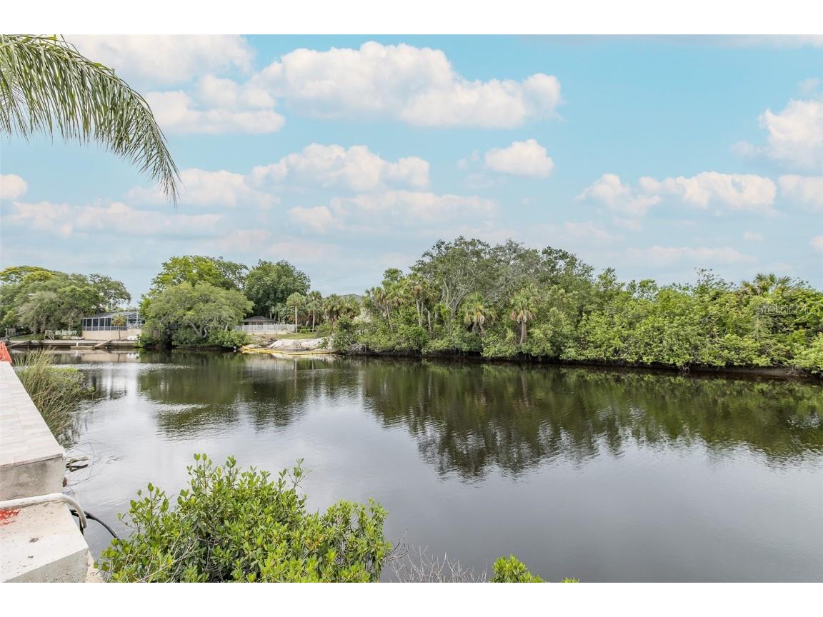 5640 Ferguson Court #2203 New Port Richey FL 34652 W7876824 image4