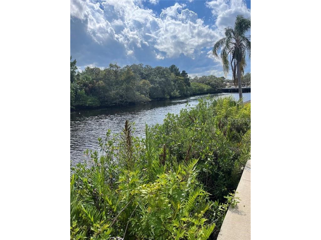 5640 Ferguson Court #2205 New Port Richey FL 34652 TB8455091 image25