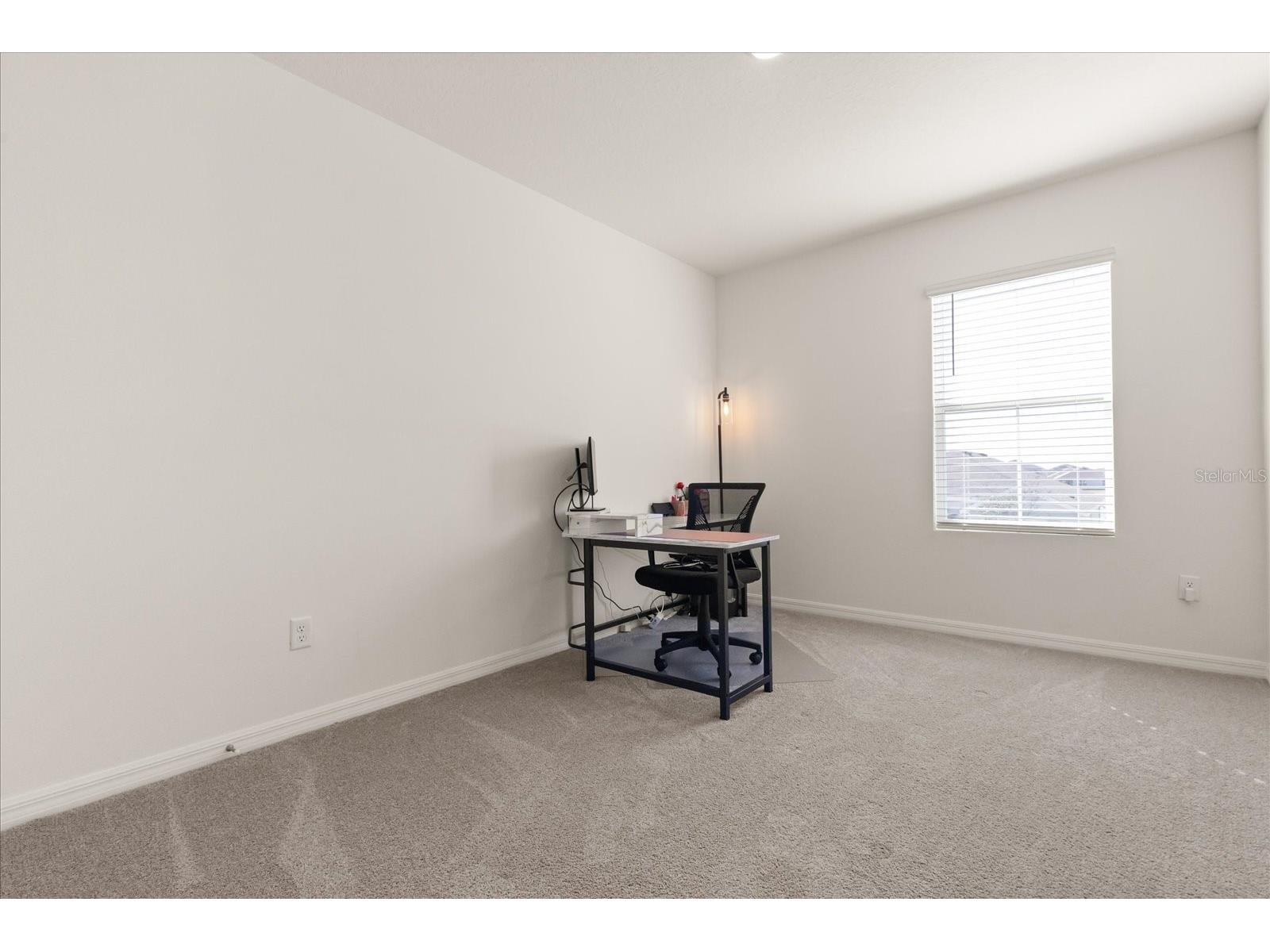 5640 Wandering Willow Drive Wesley Chapel FL 33545 TB8470409 image14