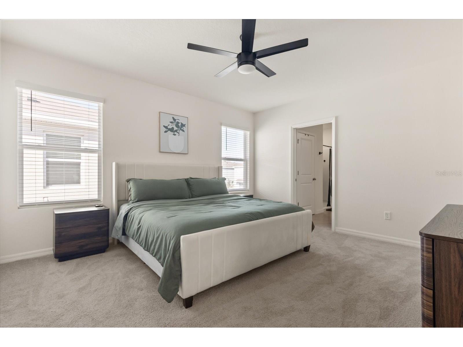 5640 Wandering Willow Drive Wesley Chapel FL 33545 TB8470409 image18