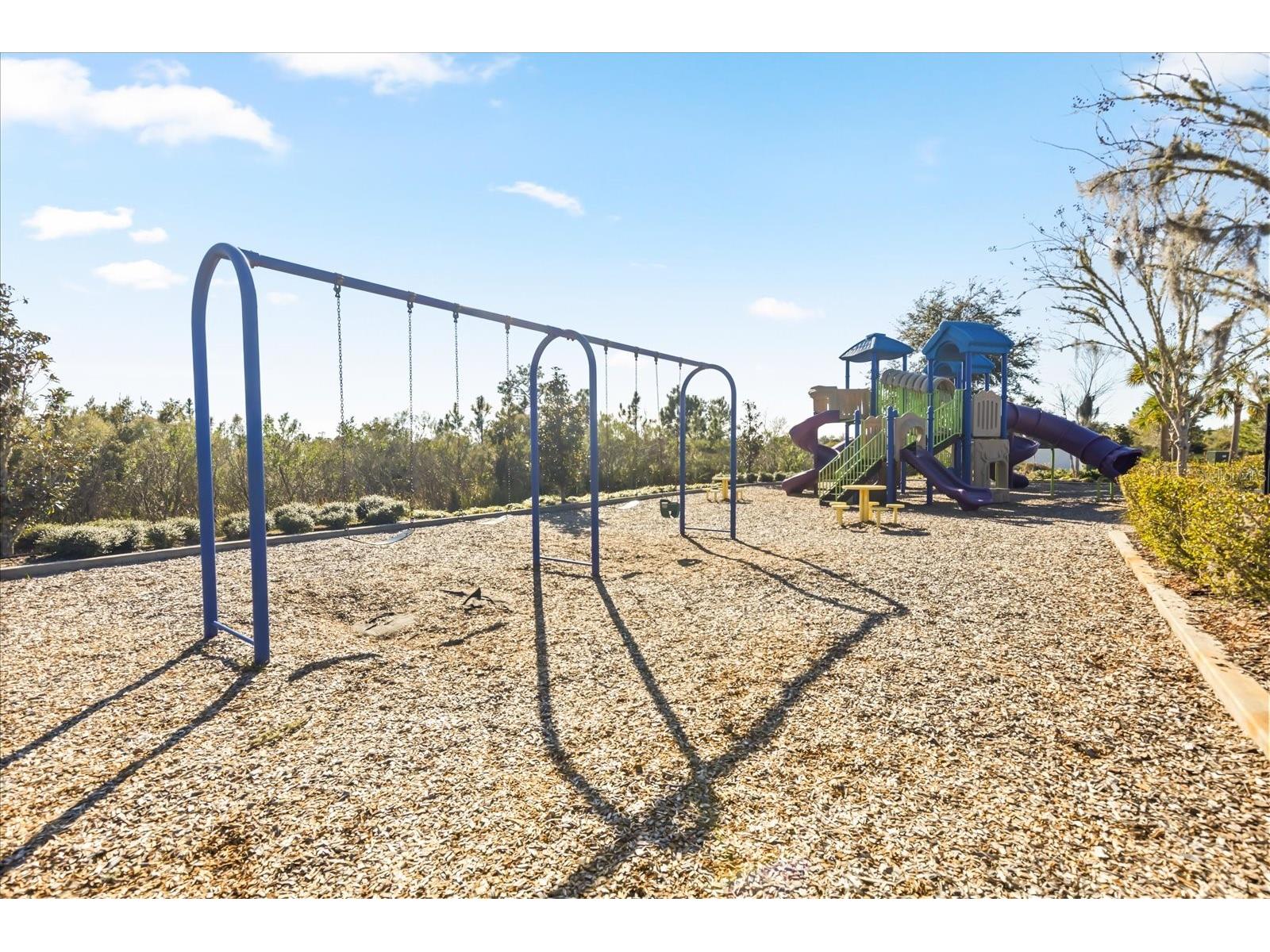 5640 Wandering Willow Drive Wesley Chapel FL 33545 TB8470409 image34