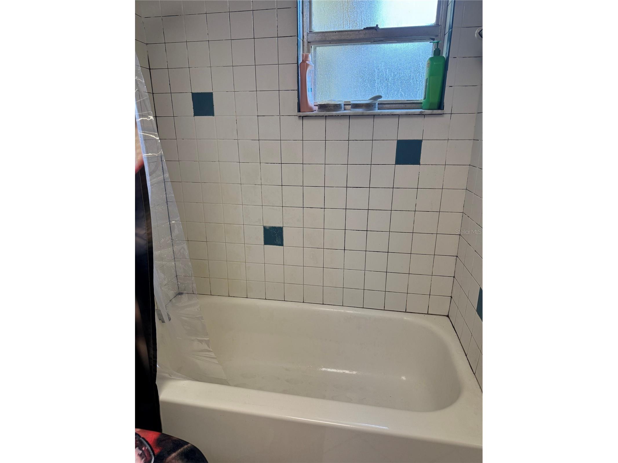 5641 92nd Terrace N Pinellas Park FL 33782 TB8462748 image10