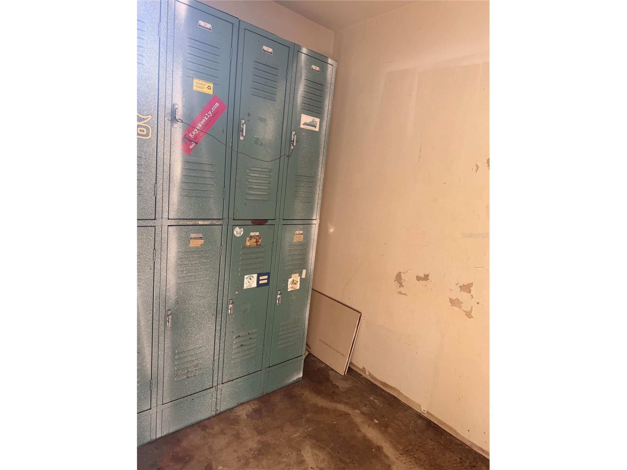 5641 92nd Terrace N Pinellas Park FL 33782 TB8462748 image15