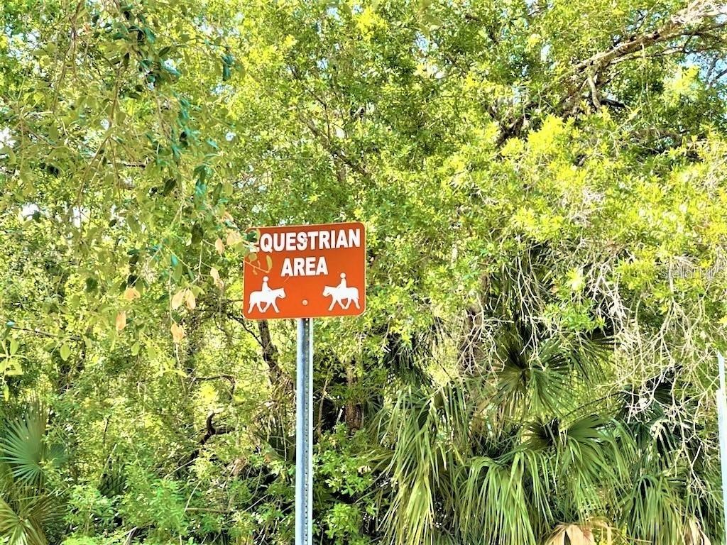 5641 94th Terrace N Pinellas Park FL 33782 TB8509553 image30