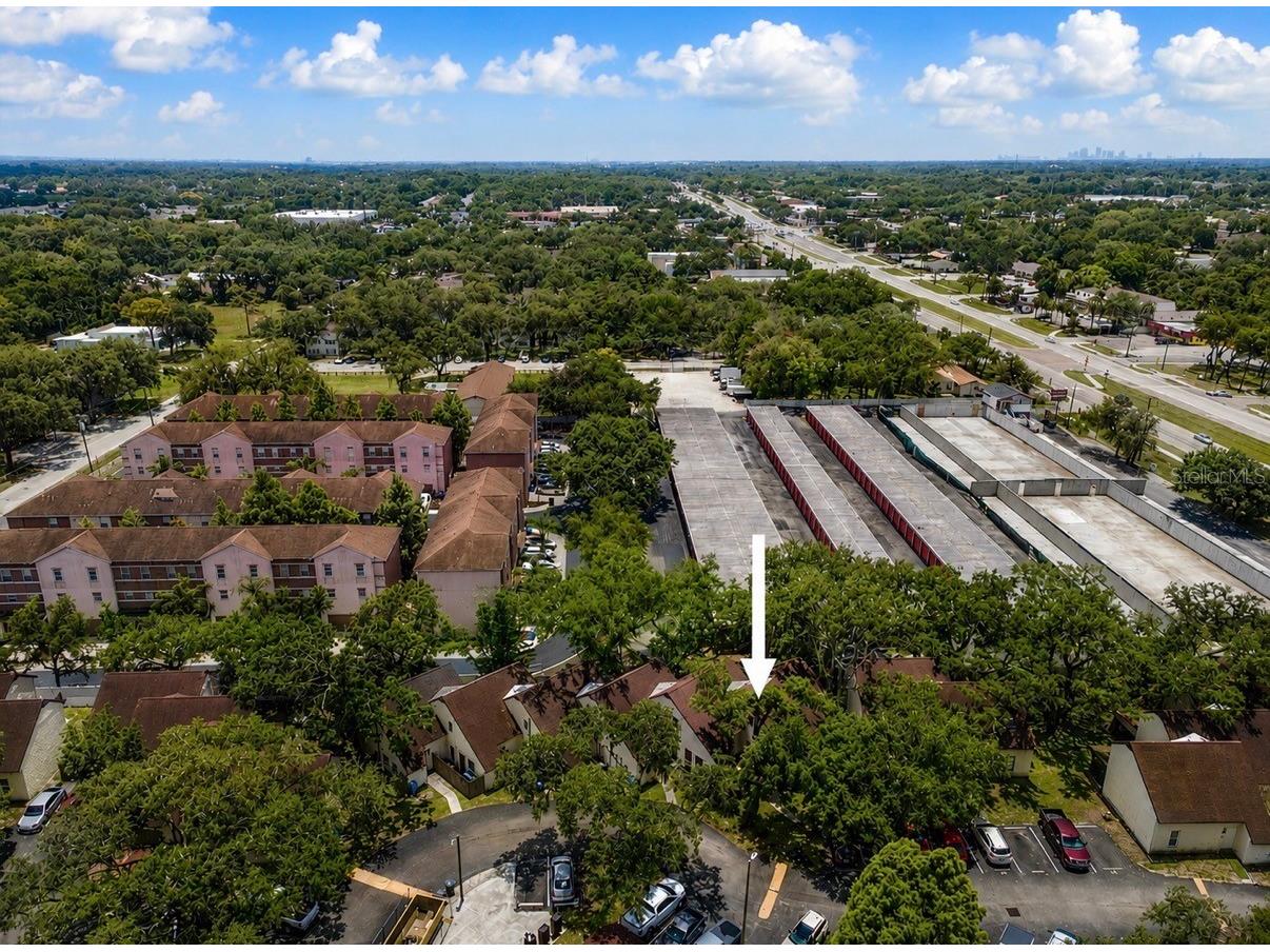 5641 Ashley Oaks Drive #37 Tampa FL 33617 TB8524201 image11