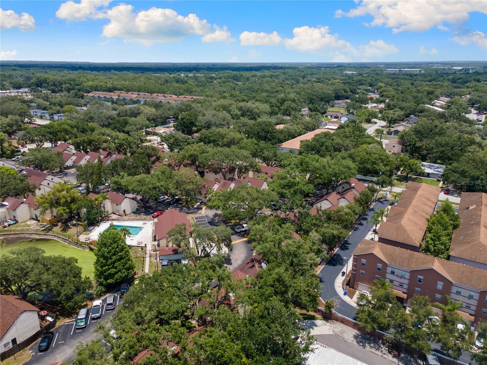 5641 Ashley Oaks Drive #37 Tampa FL 33617 TB8524201 image12