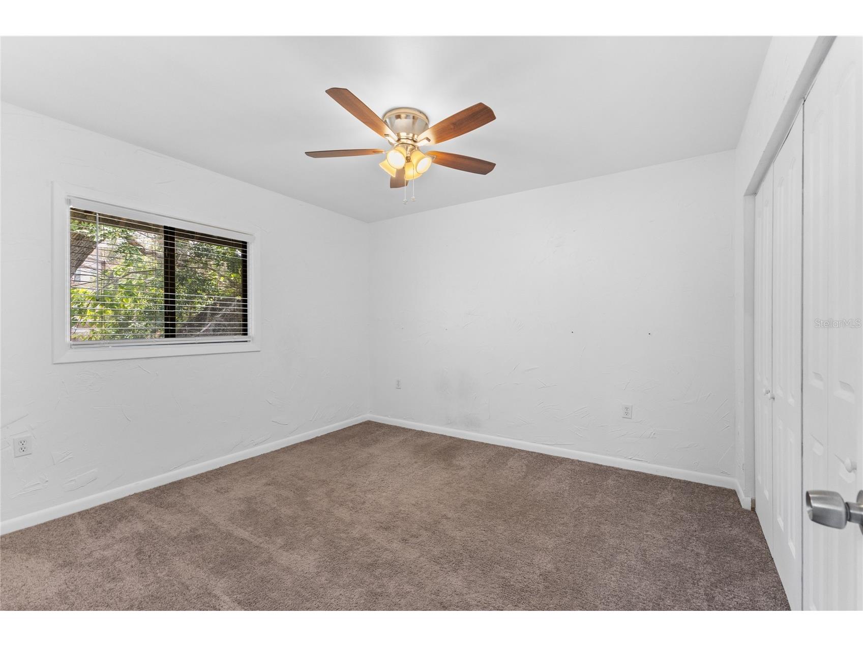 5641 Ashley Oaks Drive #37 Tampa FL 33617 TB8524201 image7