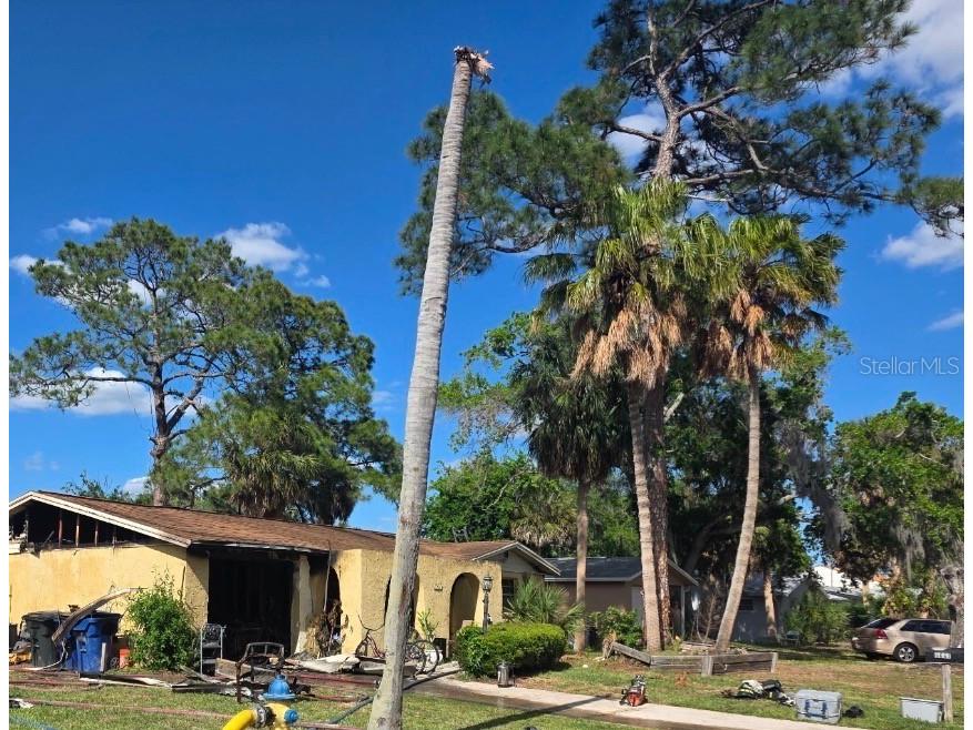 5641 Berlin Drive Port Richey FL 34668 TB8498194 image1