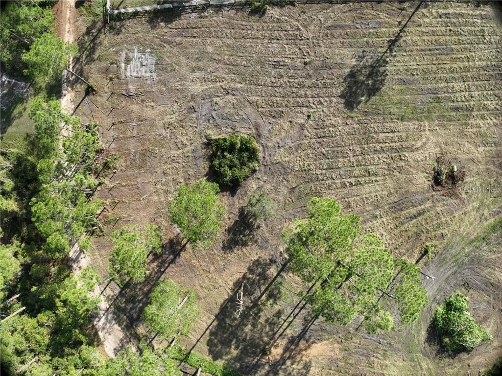 5642 Goff Island Road Groveland FL 34736 G5089235 image11