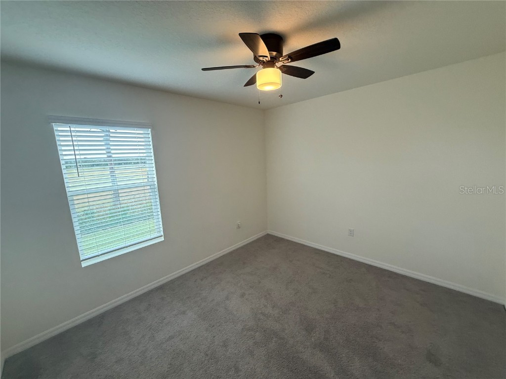 5643 Hollingworth Trail Wesley Chapel FL 33545 TB8457529 image15