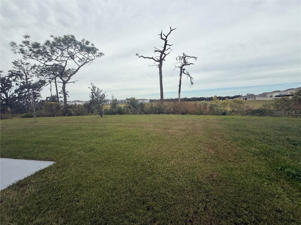 5643 Hollingworth Trail Wesley Chapel FL 33545 TB8457529 image18