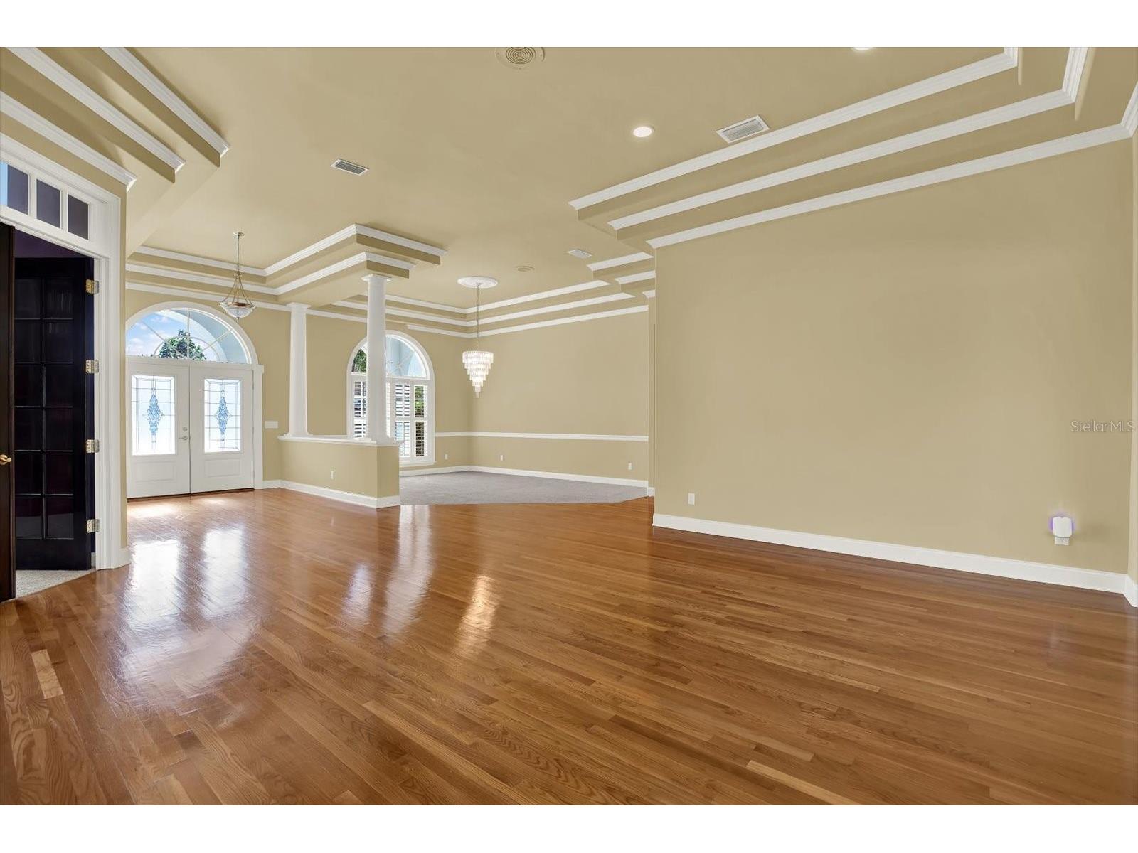 5643 White Ibis Lane Land O Lakes FL 34638 - LAKE THOMAS TB8488855 image10