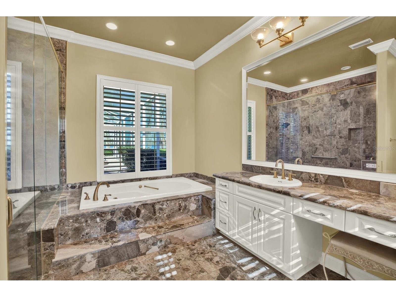 5643 White Ibis Lane Land O Lakes FL 34638 - LAKE THOMAS TB8488855 image17