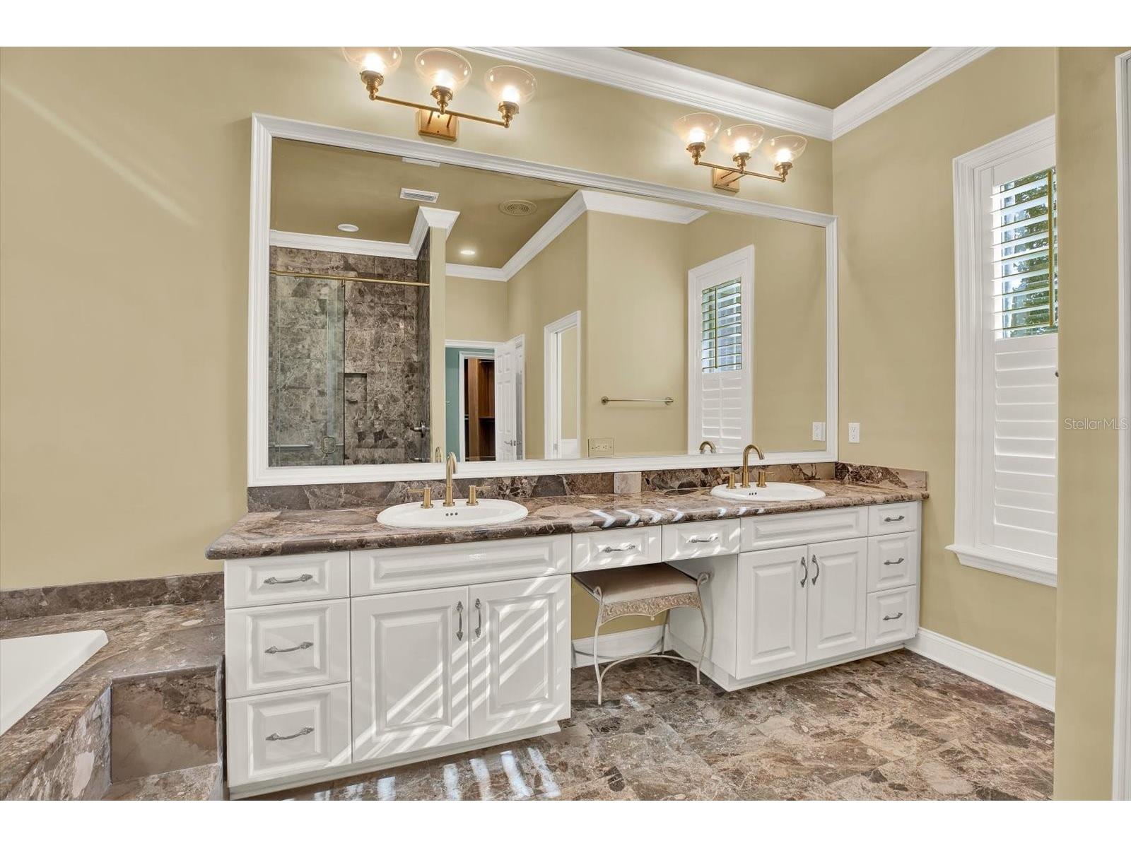5643 White Ibis Lane Land O Lakes FL 34638 - LAKE THOMAS TB8488855 image18