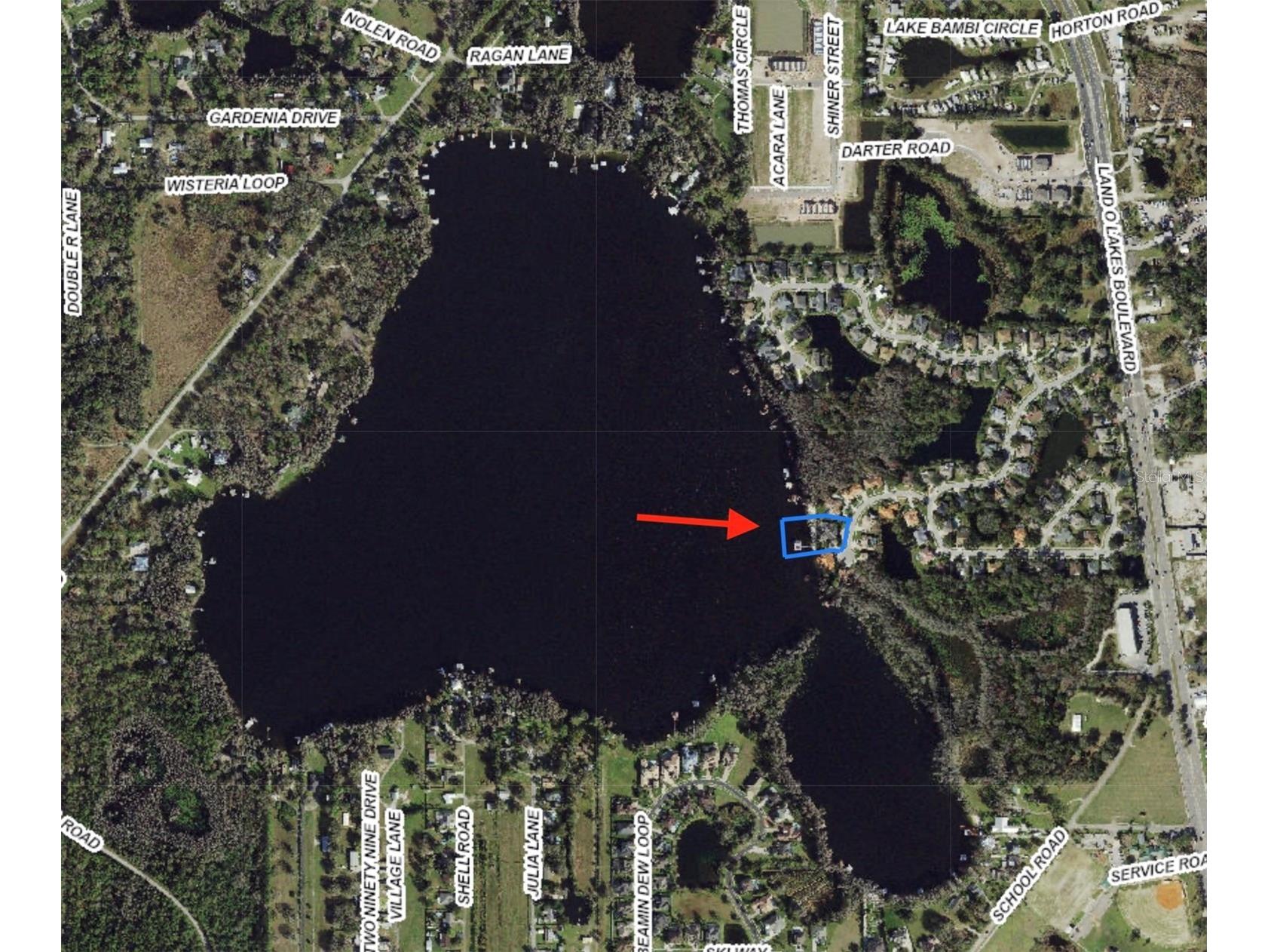 5643 White Ibis Lane Land O Lakes FL 34638 - LAKE THOMAS TB8488855 image2