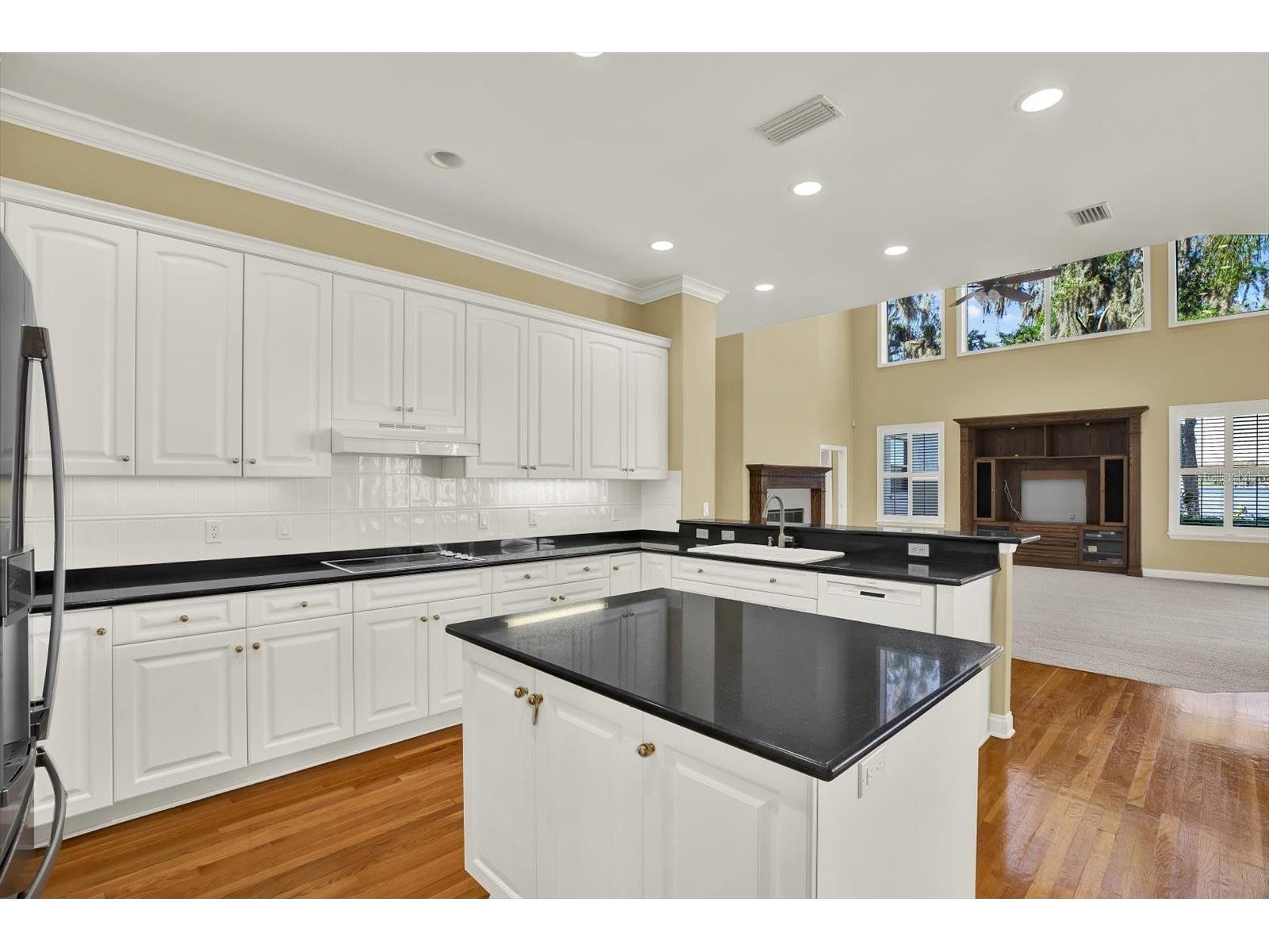 5643 White Ibis Lane Land O Lakes FL 34638 - LAKE THOMAS TB8488855 image21