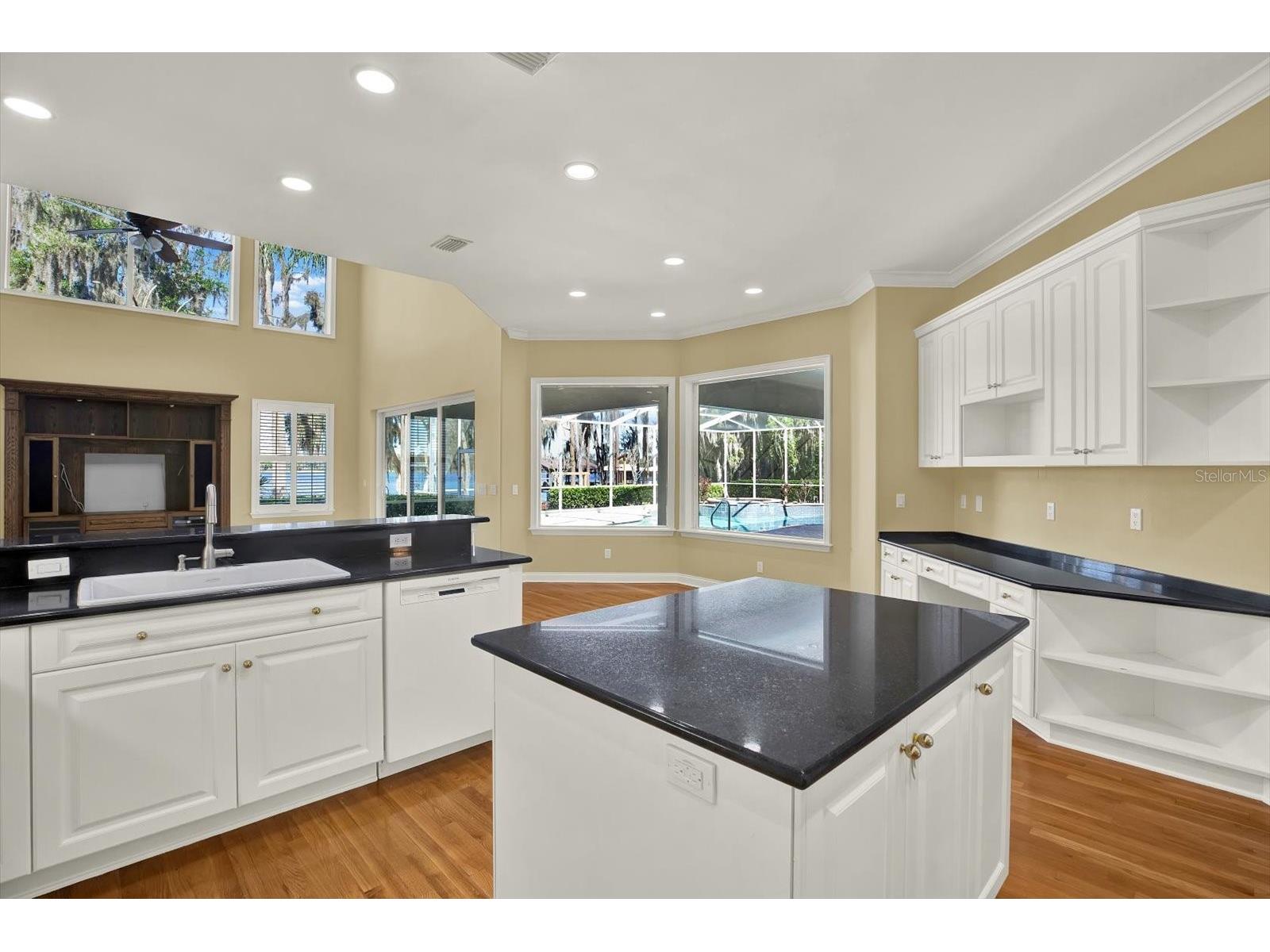 5643 White Ibis Lane Land O Lakes FL 34638 - LAKE THOMAS TB8488855 image22