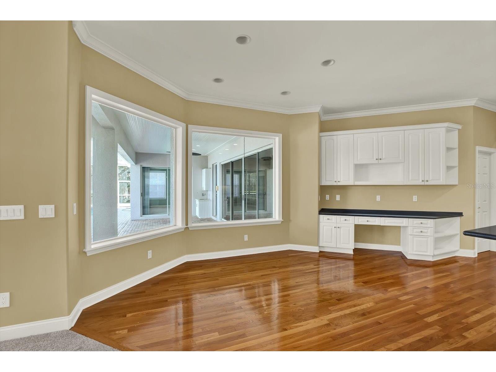 5643 White Ibis Lane Land O Lakes FL 34638 - LAKE THOMAS TB8488855 image24