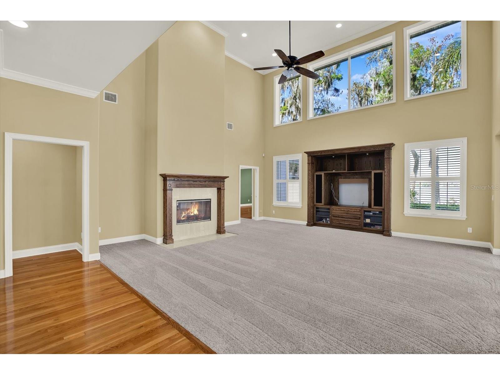 5643 White Ibis Lane Land O Lakes FL 34638 - LAKE THOMAS TB8488855 image25