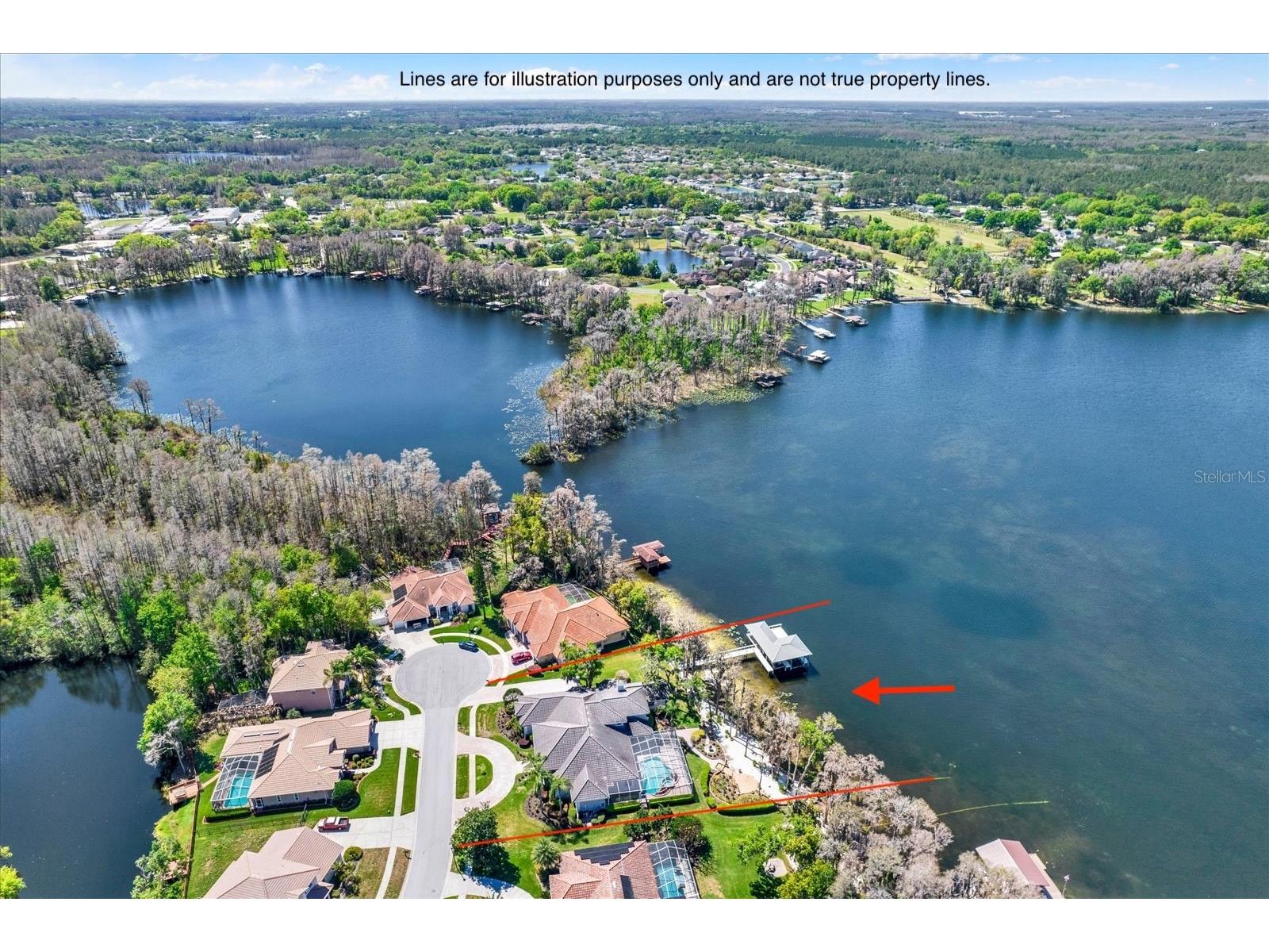 5643 White Ibis Lane Land O Lakes FL 34638 - LAKE THOMAS TB8488855 image3