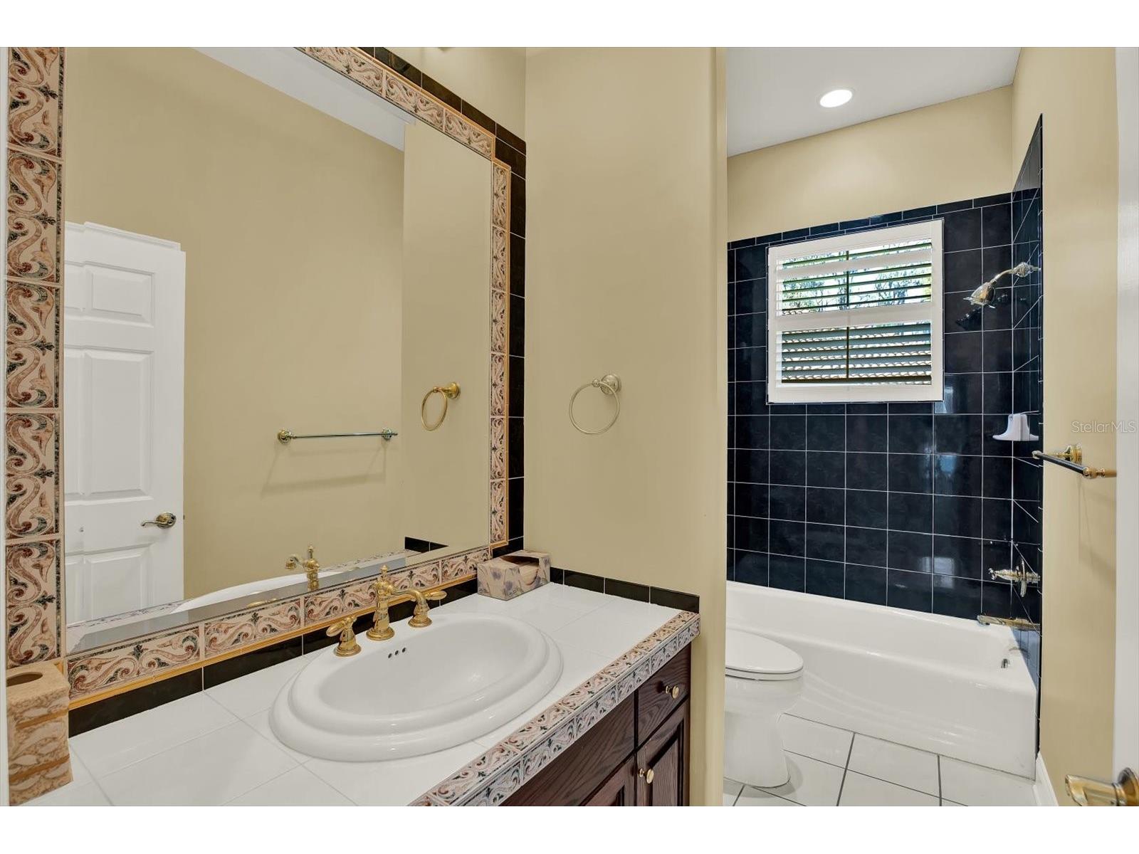 5643 White Ibis Lane Land O Lakes FL 34638 - LAKE THOMAS TB8488855 image30