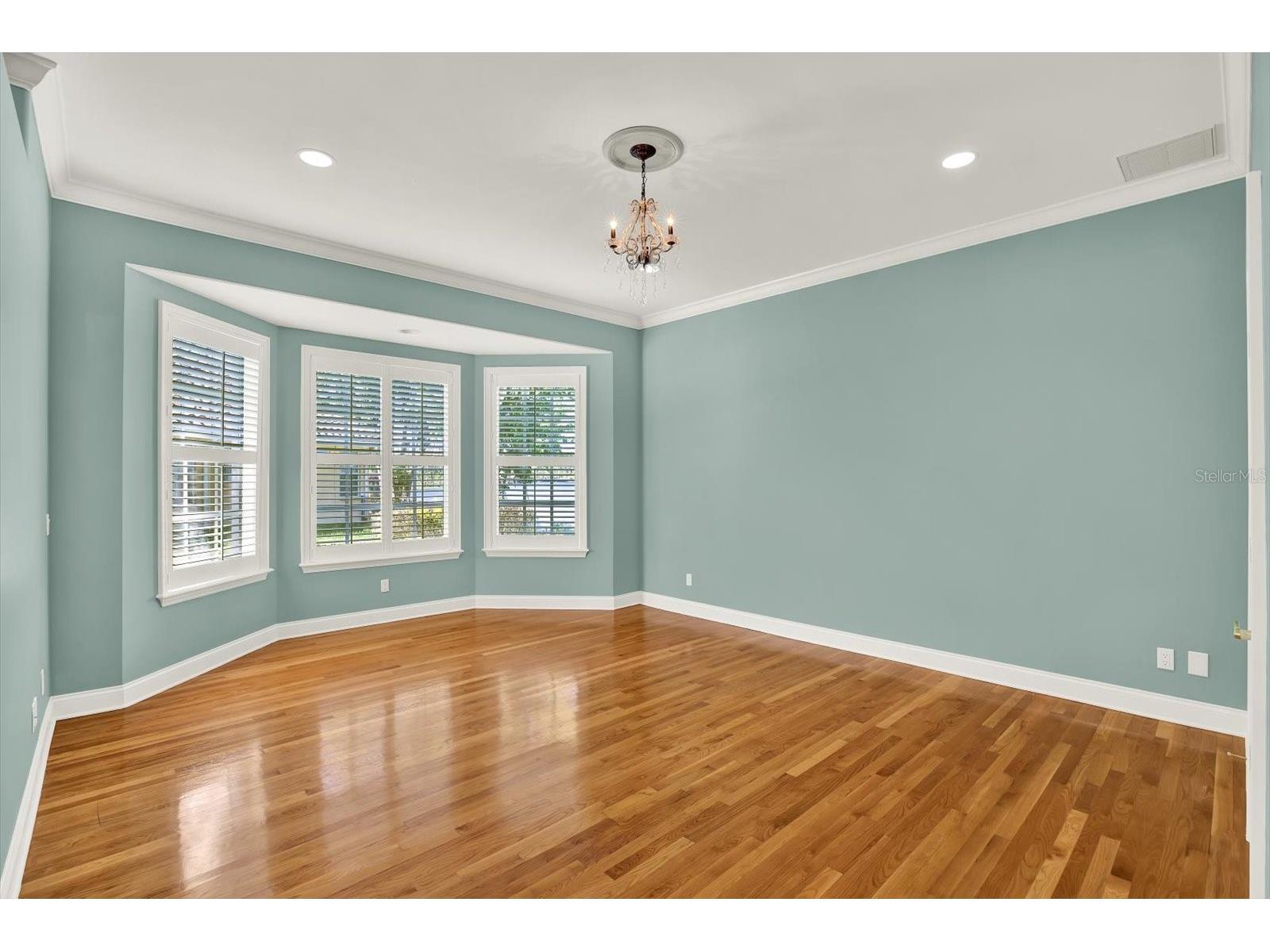5643 White Ibis Lane Land O Lakes FL 34638 - LAKE THOMAS TB8488855 image31