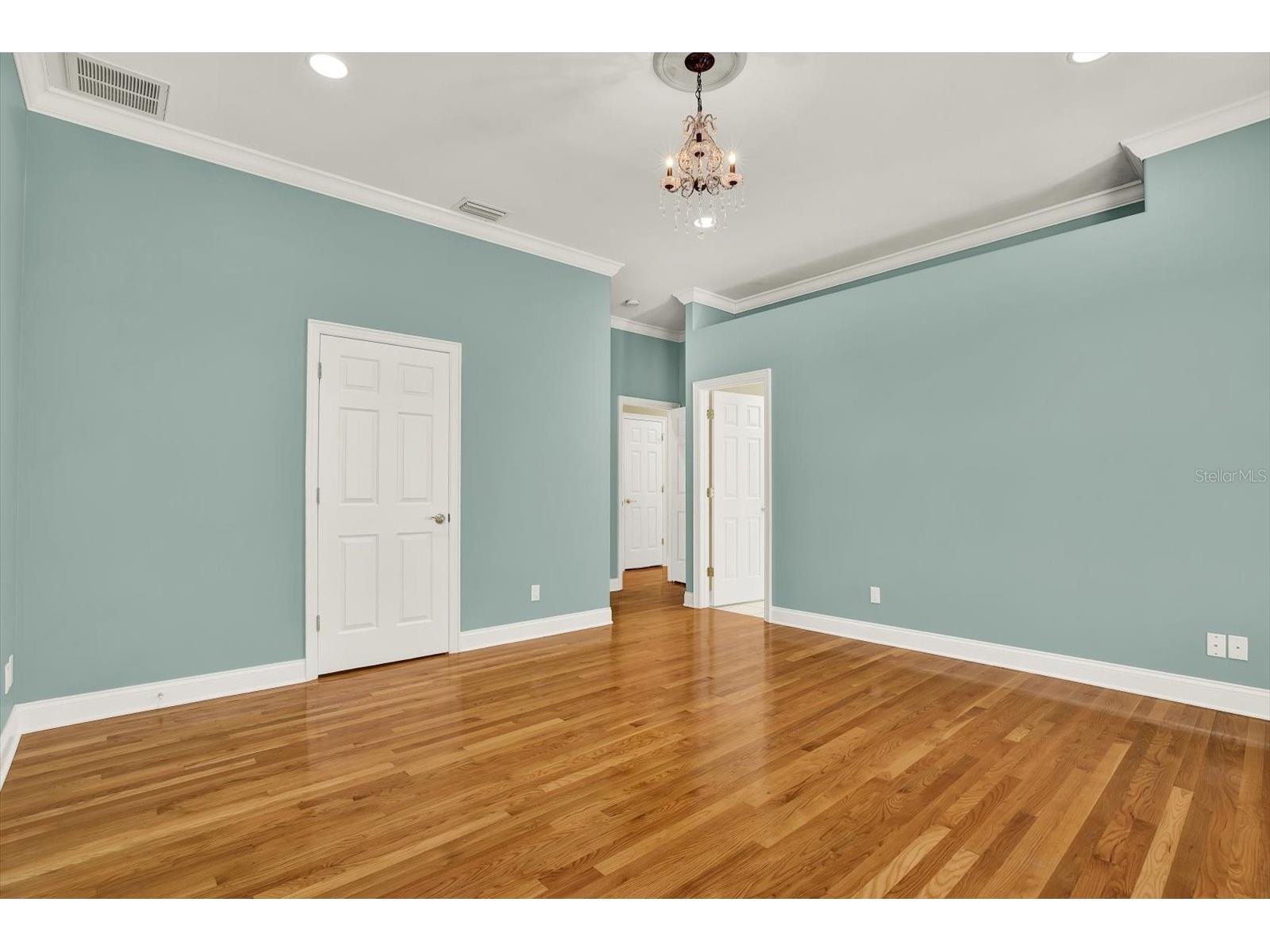 5643 White Ibis Lane Land O Lakes FL 34638 - LAKE THOMAS TB8488855 image32