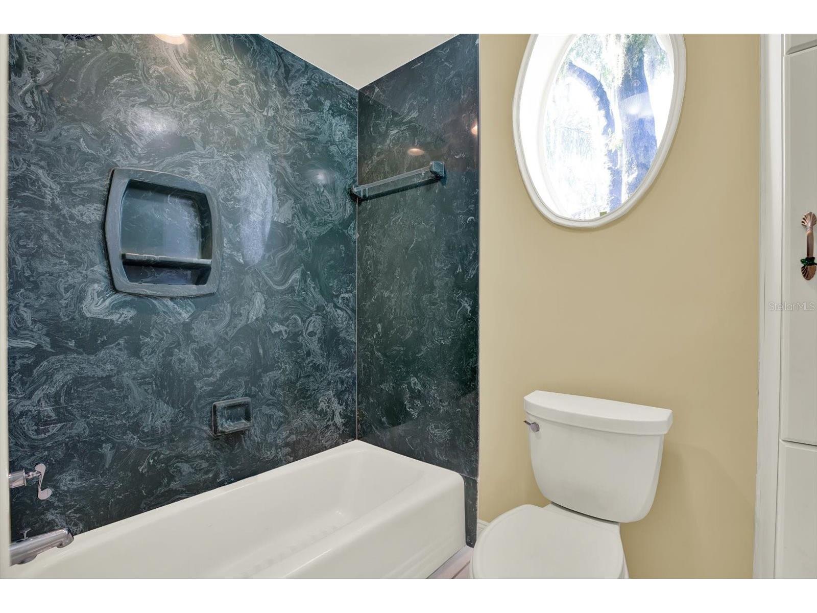 5643 White Ibis Lane Land O Lakes FL 34638 - LAKE THOMAS TB8488855 image33
