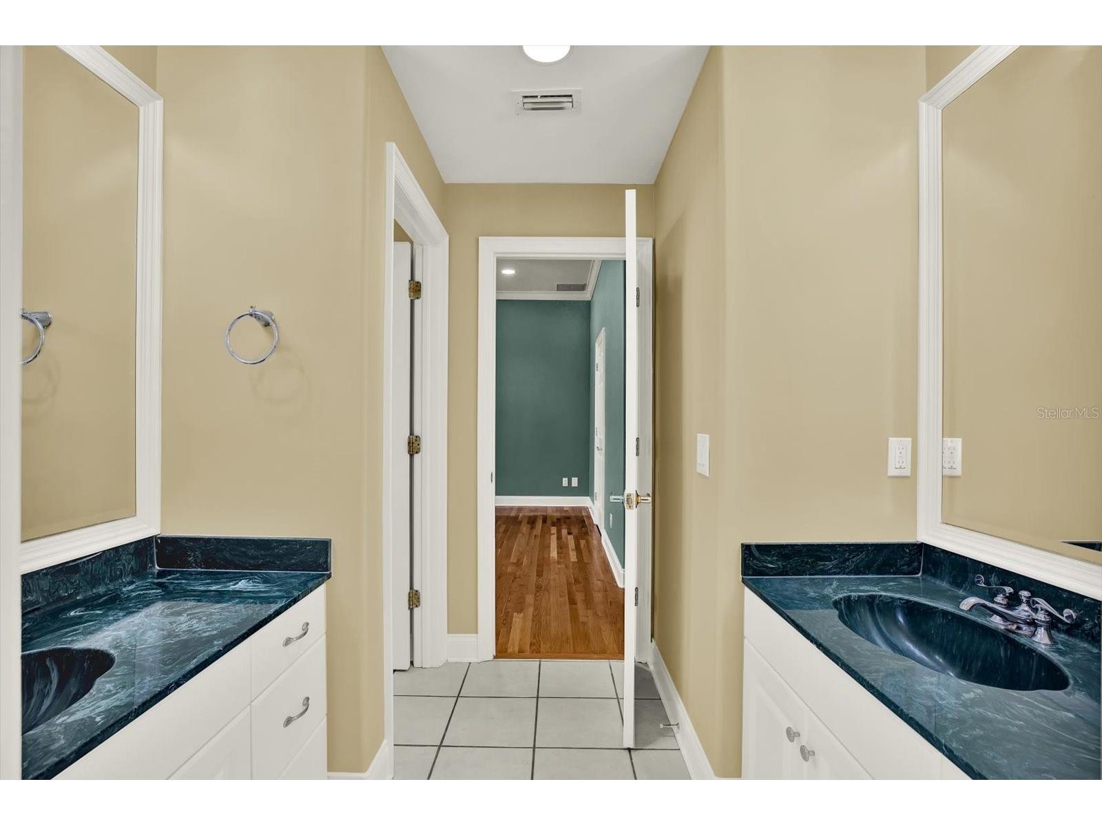 5643 White Ibis Lane Land O Lakes FL 34638 - LAKE THOMAS TB8488855 image34