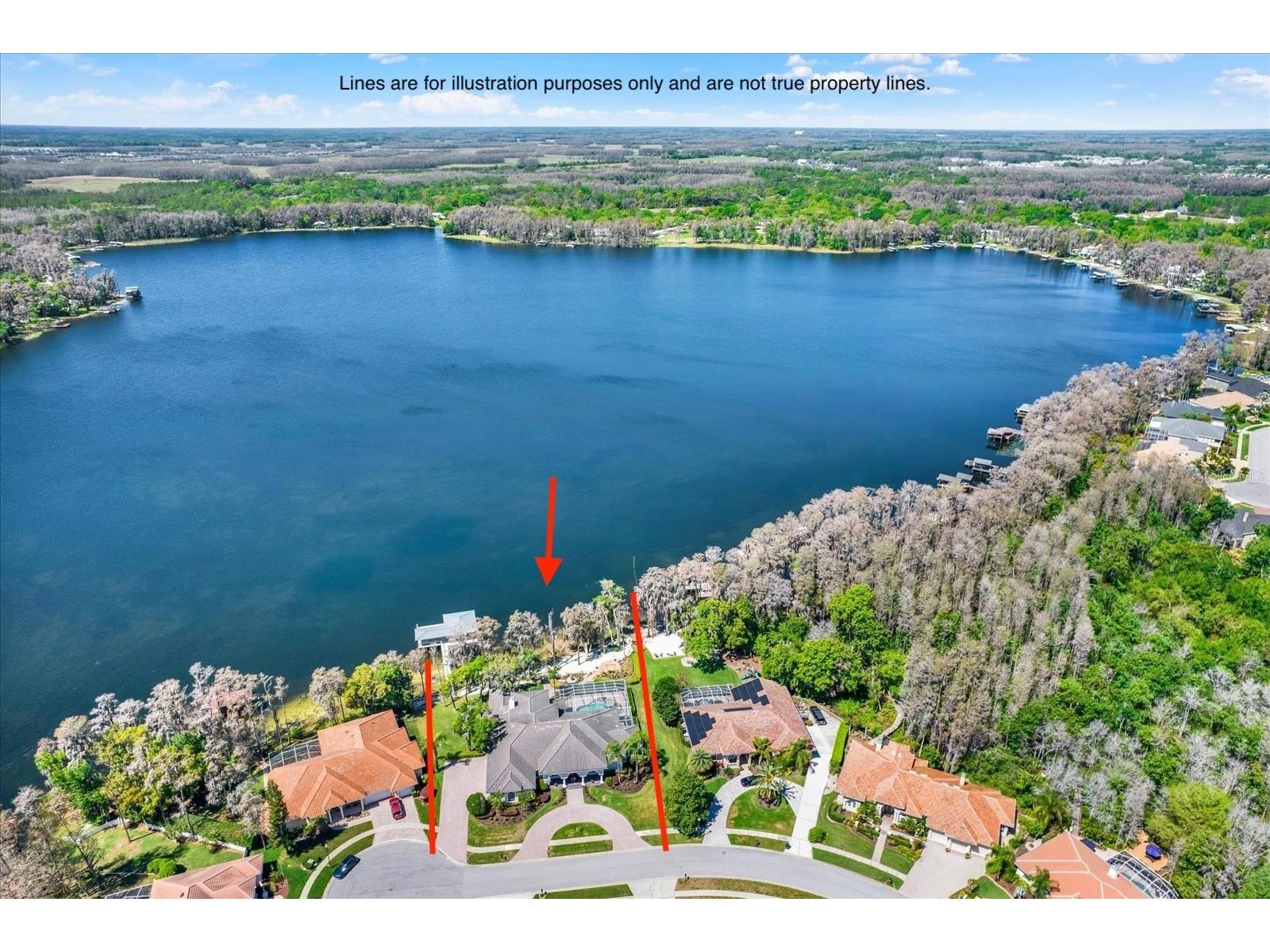 5643 White Ibis Lane Land O Lakes FL 34638 - LAKE THOMAS TB8488855 image4