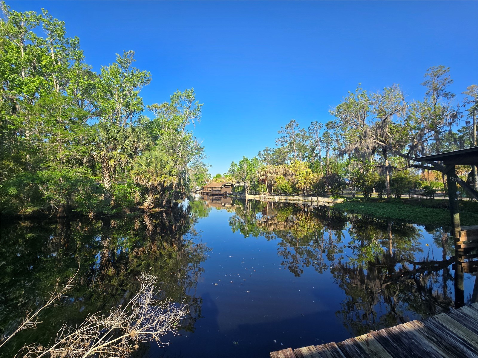 56449 Maple Road Astor FL 32102 - ST. JOHNS RIVER R4910776 image33