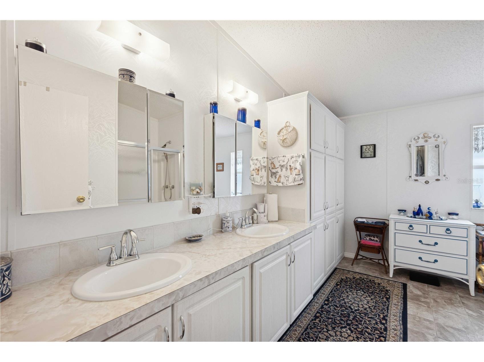 5646 Cheyenne Street Zephyrhills FL 33542 TB8461058 image27