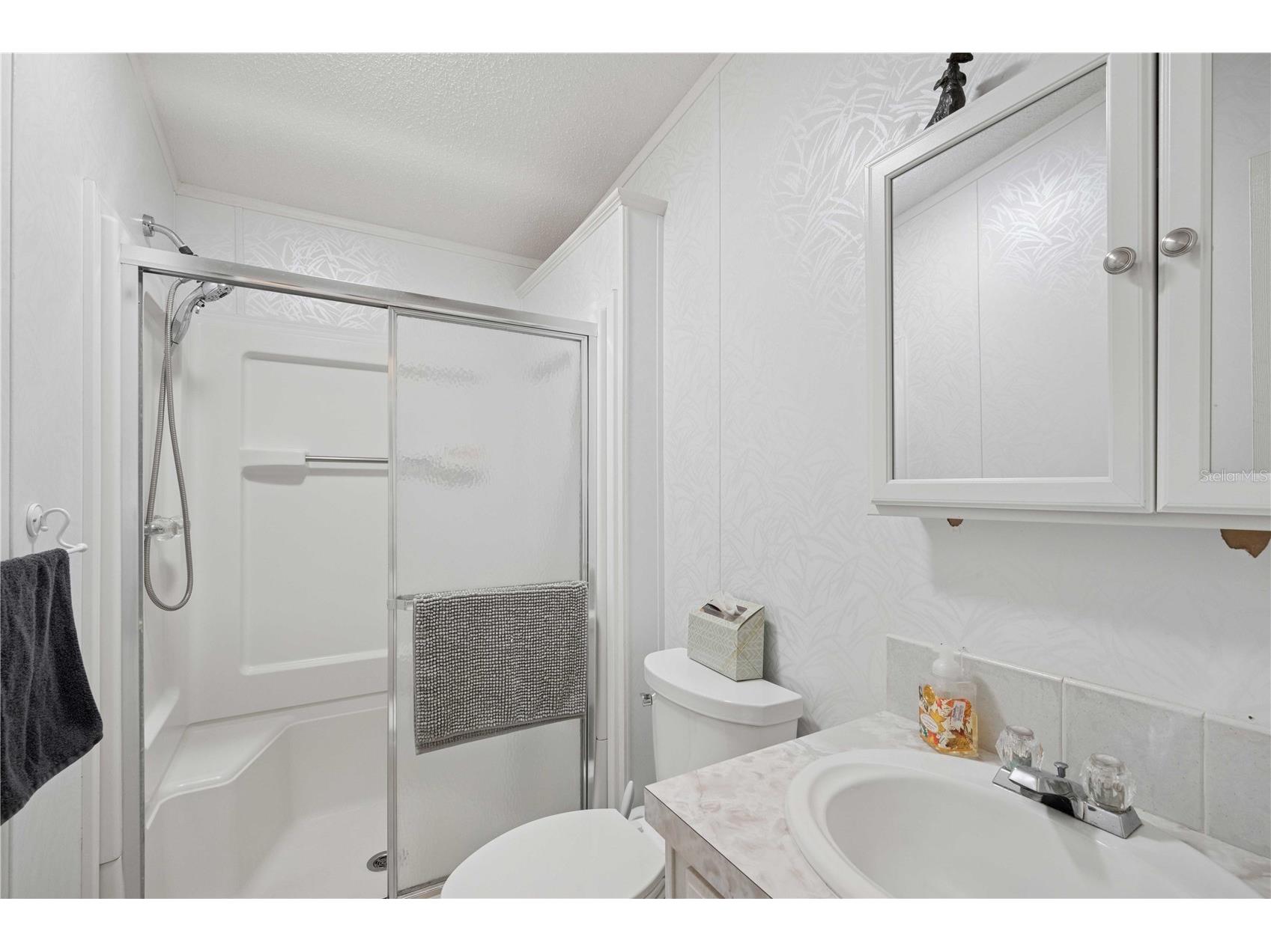 5646 Cheyenne Street Zephyrhills FL 33542 TB8461058 image32