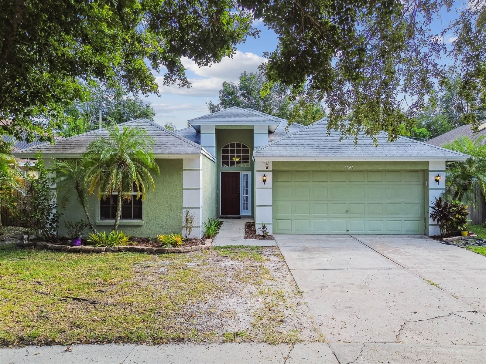 5646 Paddock Trail Drive Tampa FL 33624 TB8433986 image1