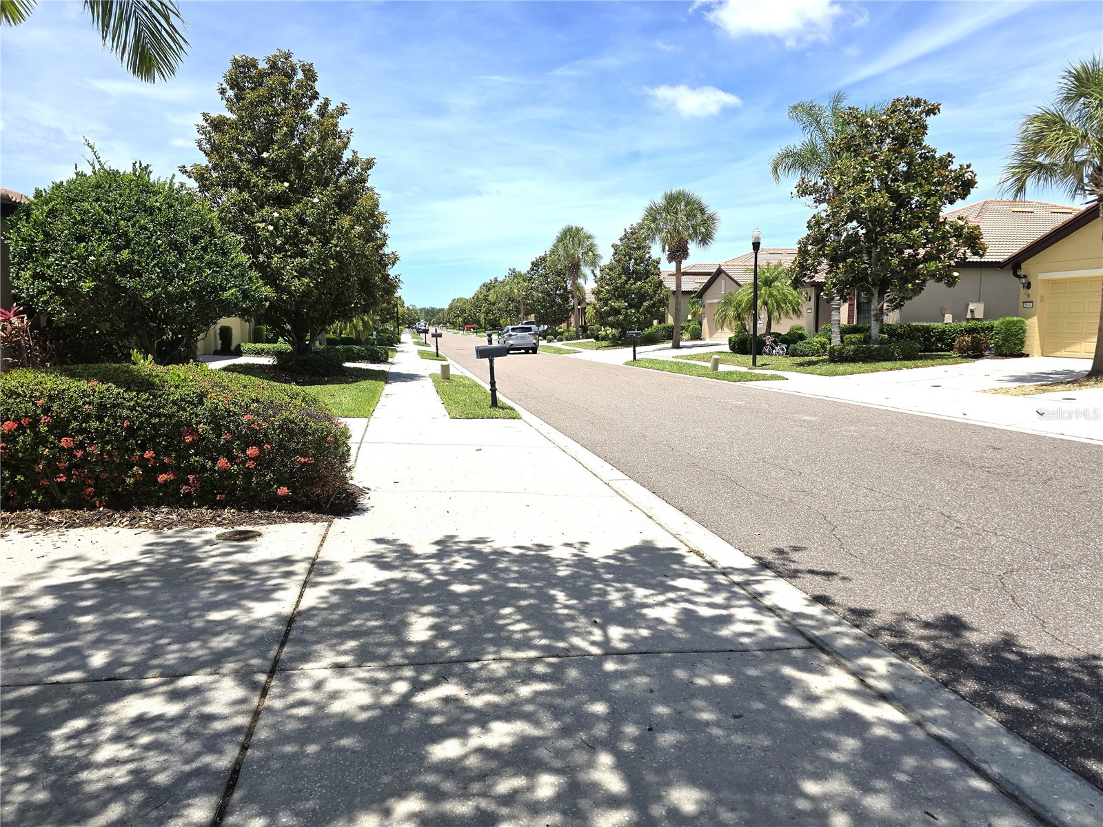 5646 Sunset Falls Drive Apollo Beach FL 33572 TB8505412 image18