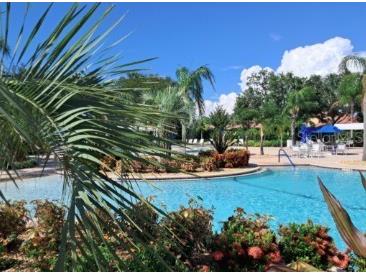 5646 Sunset Falls Drive Apollo Beach FL 33572 TB8505412 image21